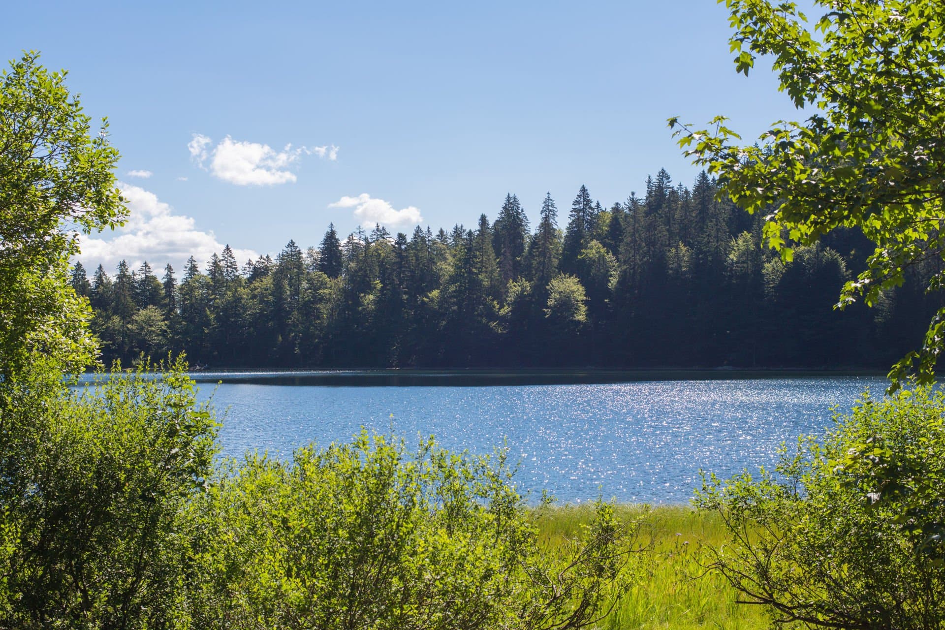 Feldsee