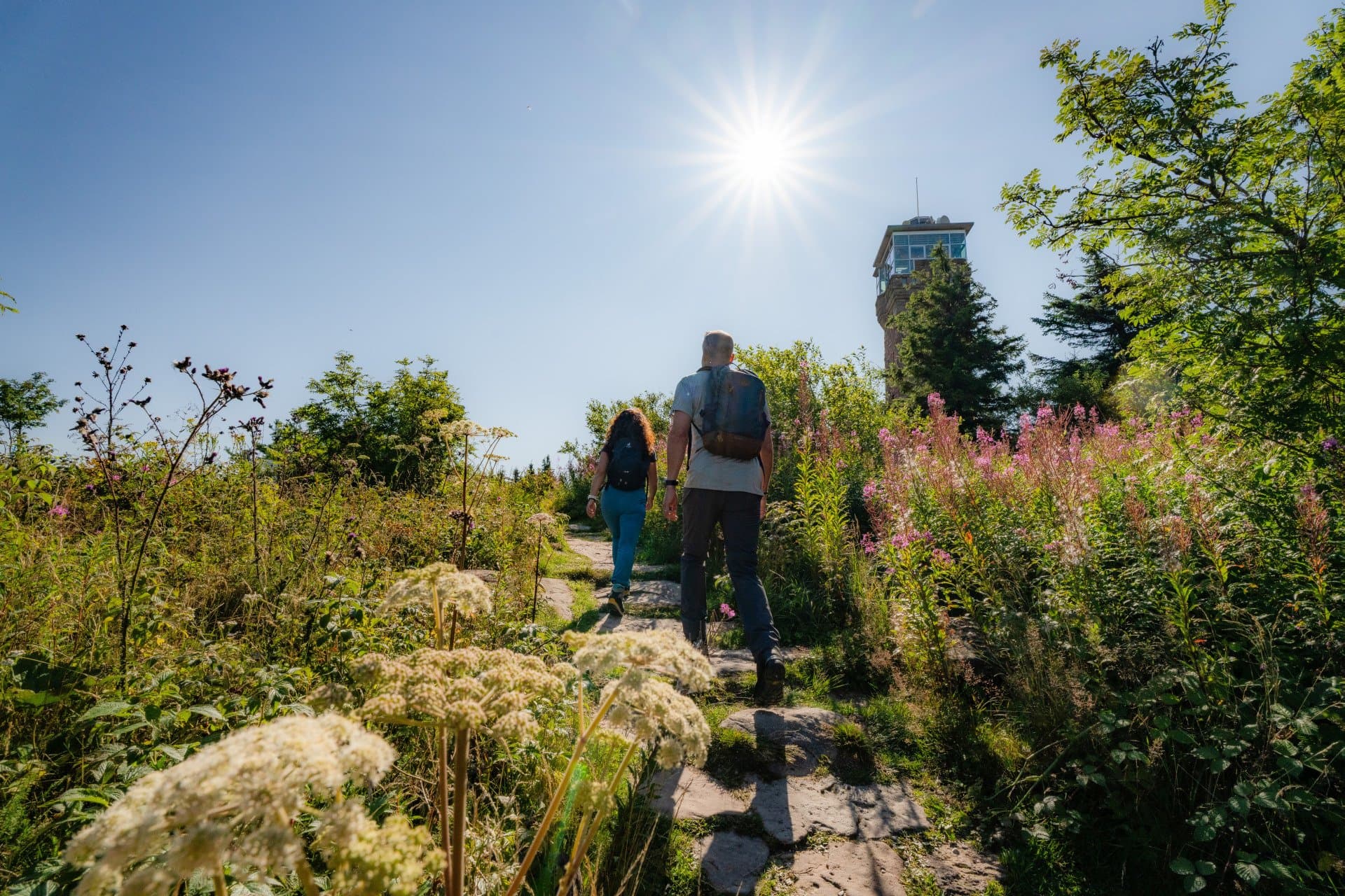 zwei Wanderer auf dem Weg hinauf zum Hornisgrinde-Aussichtsturm bei Sonnenschein