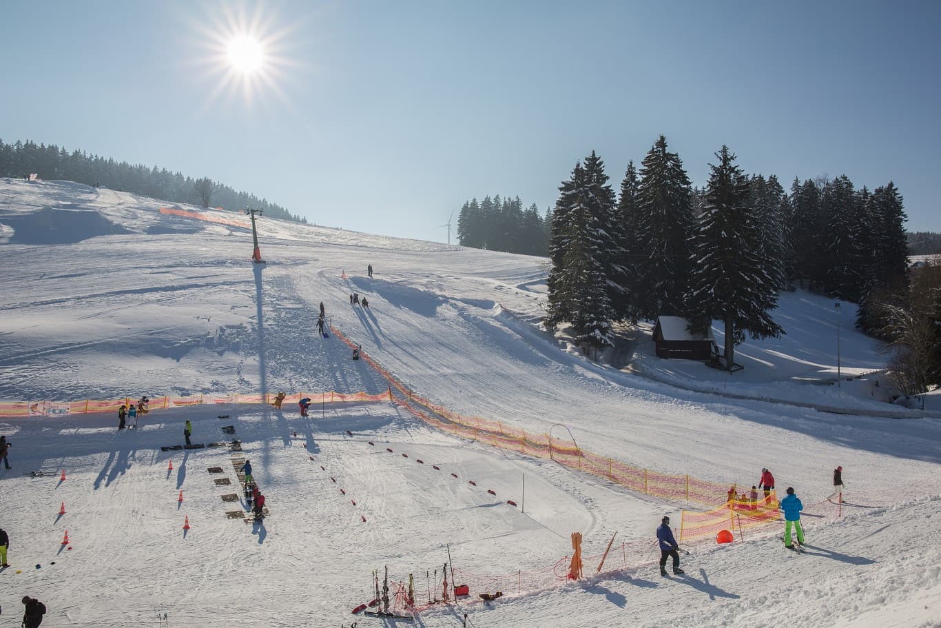 Rodelhang mit Menschen und Bäumen