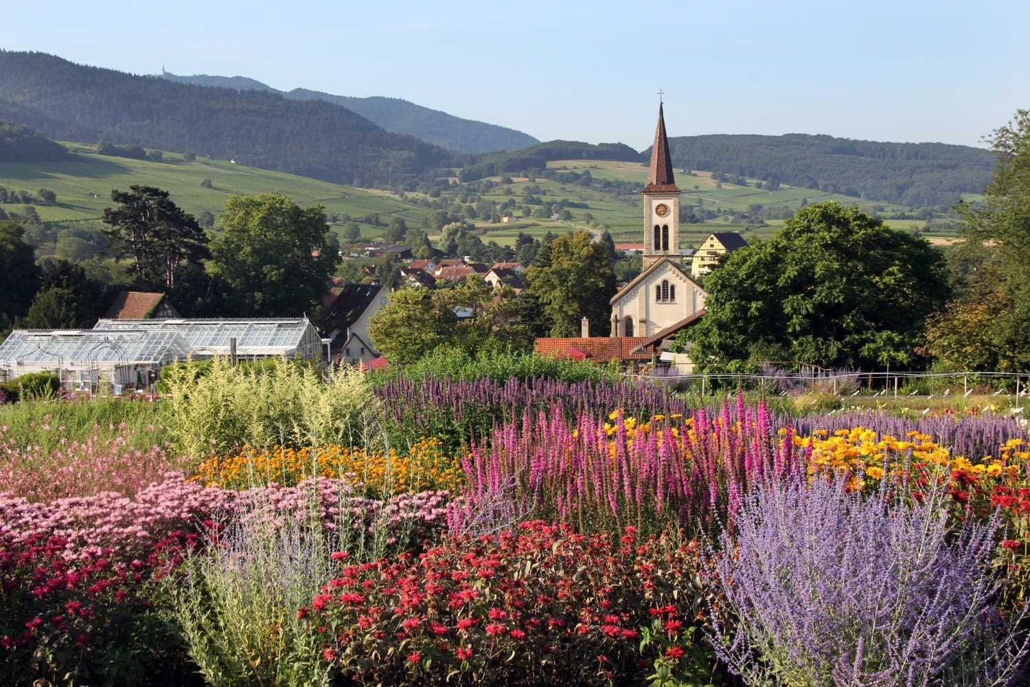 Buntes Staudenbeet, in Hintergrund eine Kirche