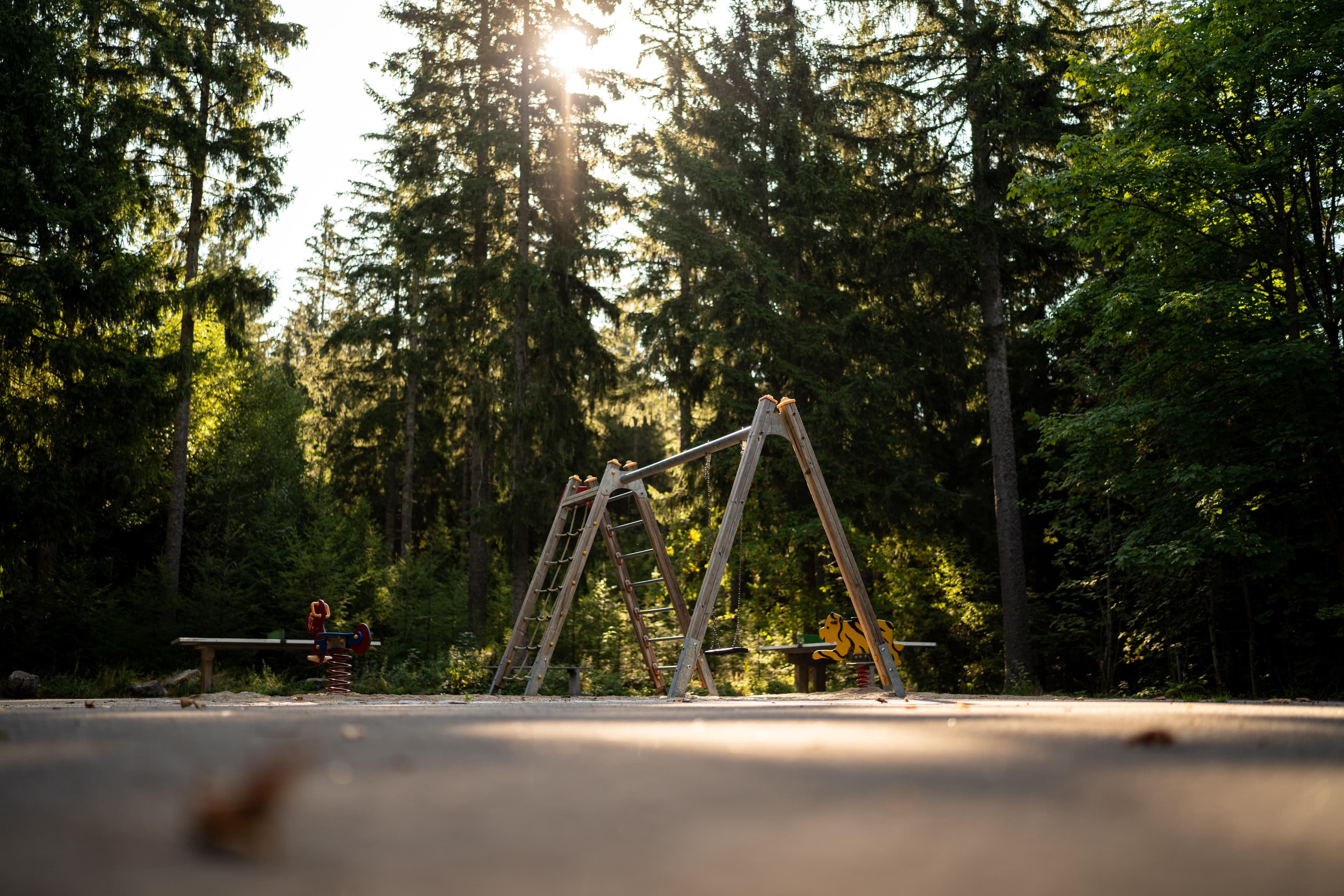 Schaukel und Klettergerüst im Wald