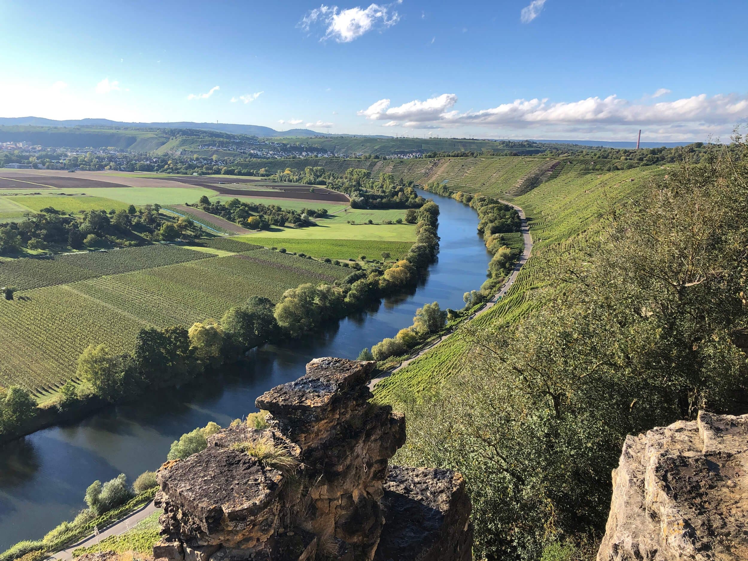Hessigheimer Felsengärten: View of the Neckar