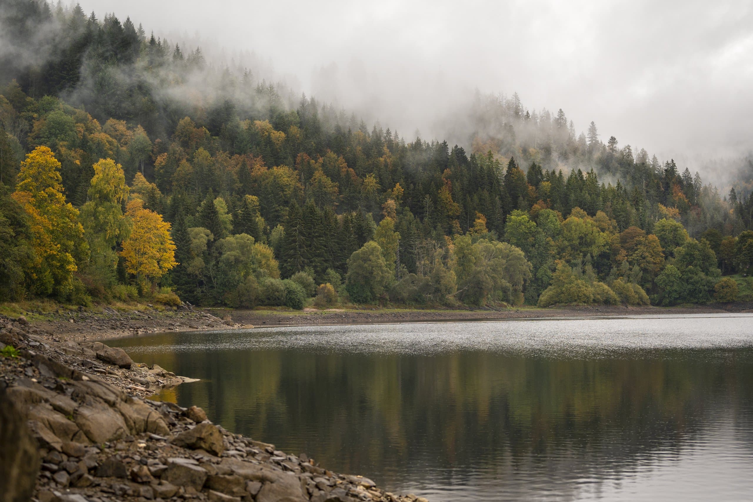 Blick auf den Albstausee