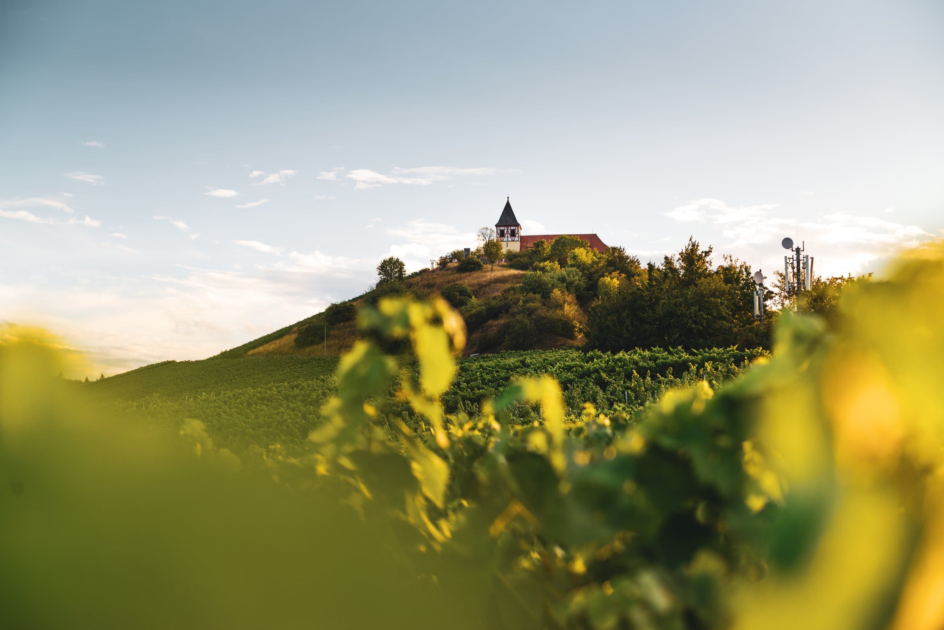 Michaelsberg Cleebronn |  HeilbronnerLand
