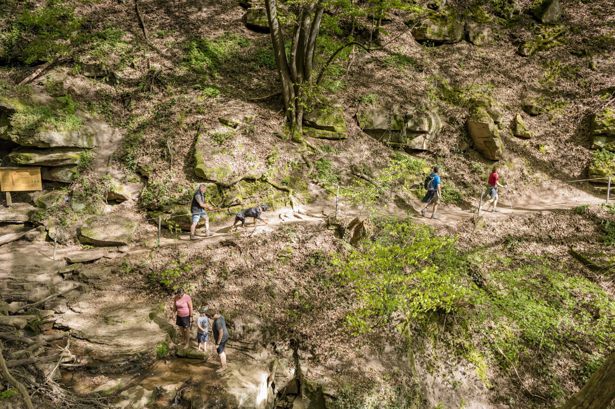 Margaretenschlucht - ein absolutes Highlight am Neckarsteig / Odenwald