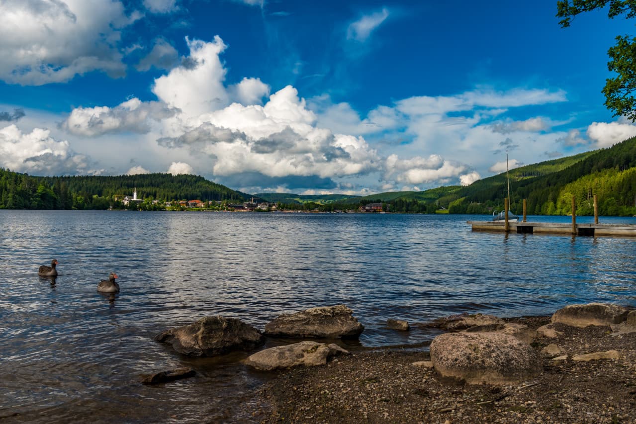 An idyllic lake with a clear water surface, surrounded by green forests and hills. Two ducks swim in the foreground, while large stones lie on the shore. A jetty protrudes into the water and the sky is slightly cloudy.