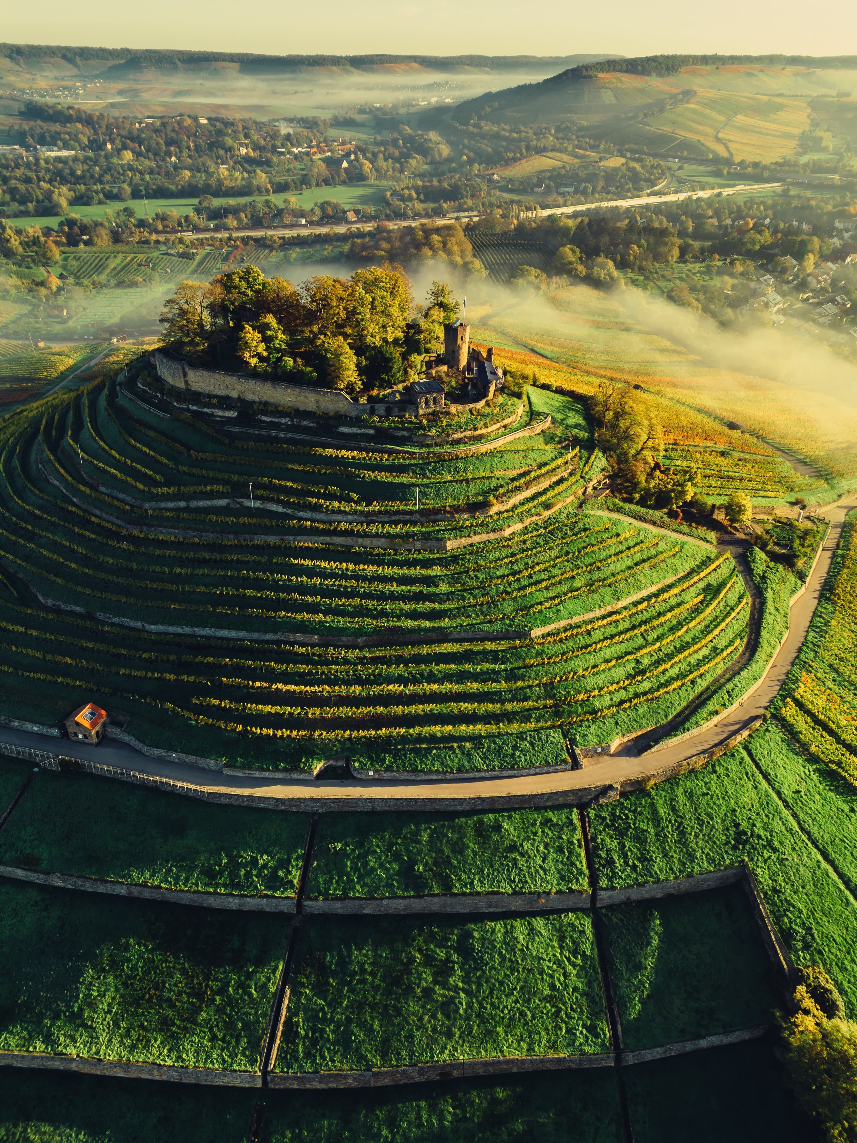 Drohnenaufnahme der Burgruine Weibertreu im Morgennebel. Aussicht über Weinsberger Tal mit dem Naturpark Schwäbisch-Fränkischer Wald im Hintergrund.