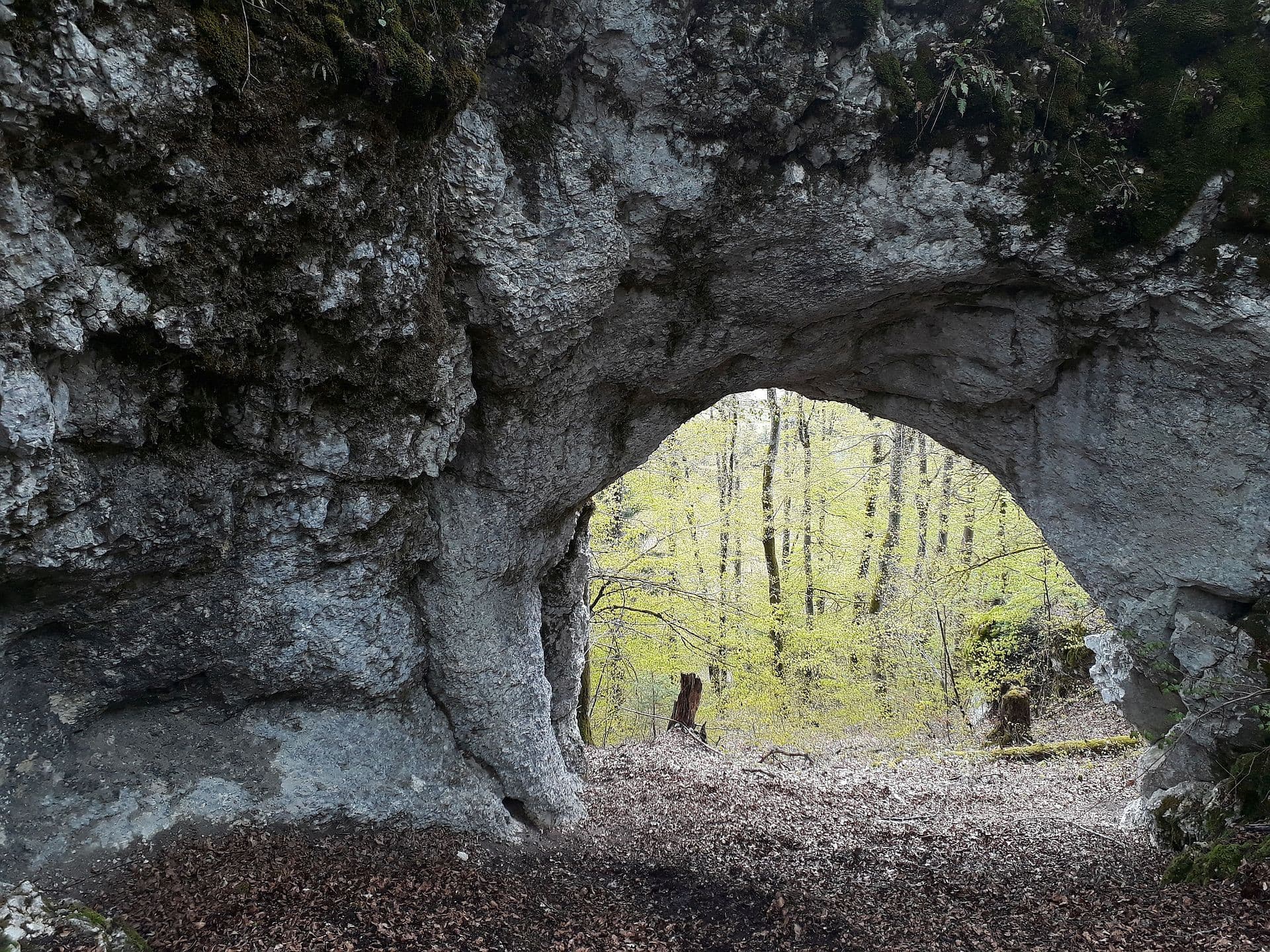 Eine Felsformation mit einem großen, torartigen Durchgang mitten im Wald.