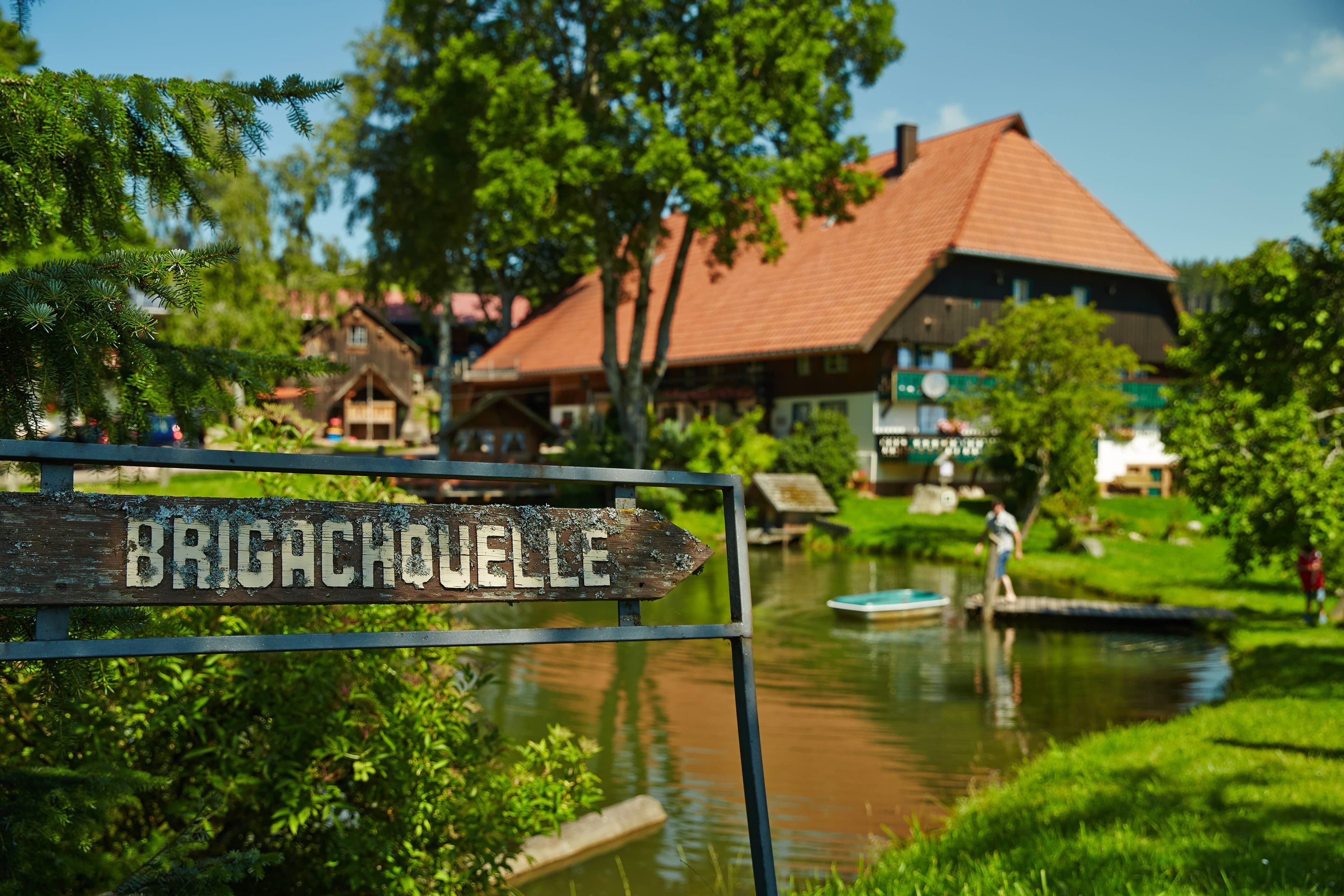 Weiher vor dem Hirzbauernhof, wo die Brigach entspringt
