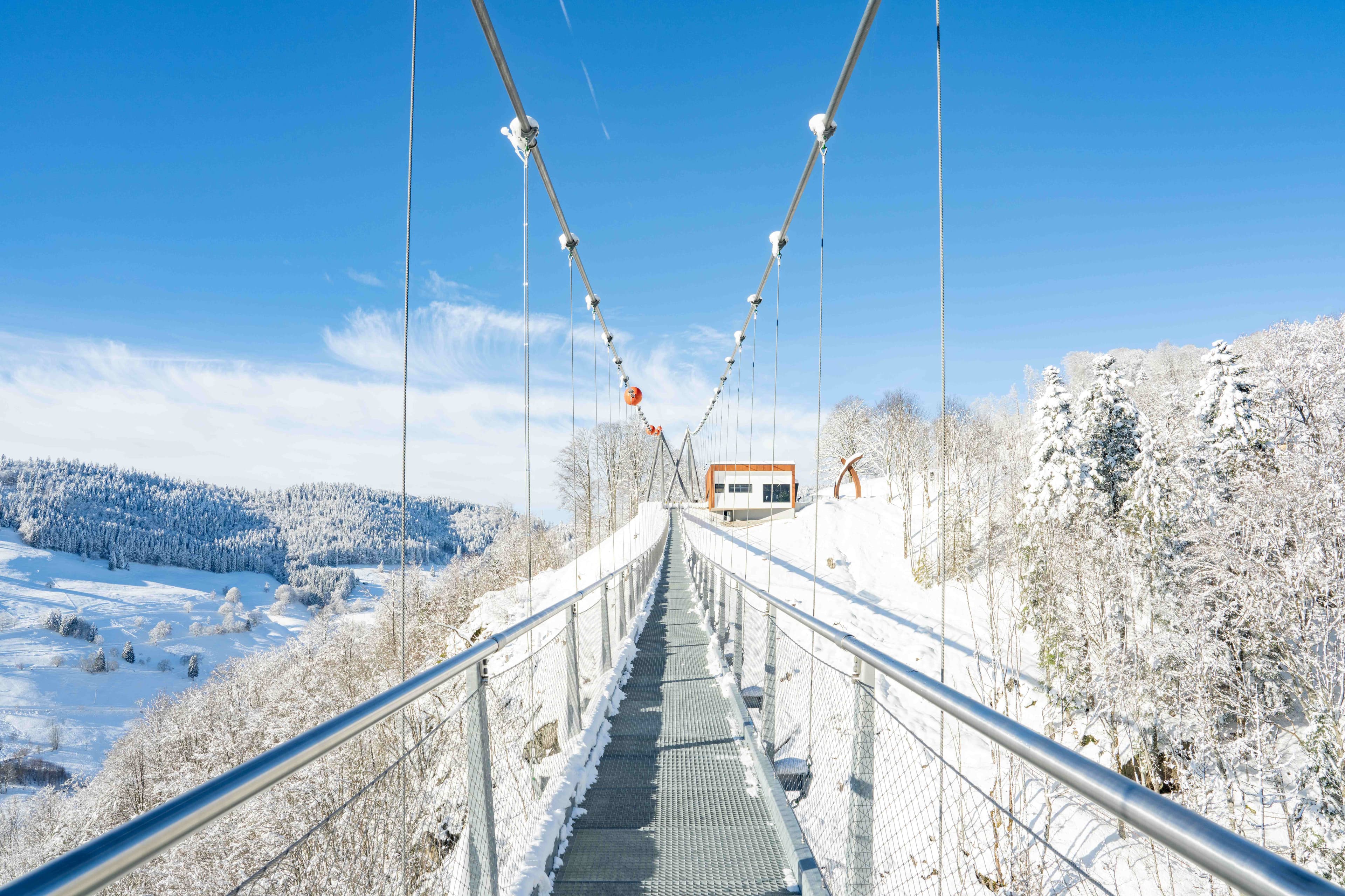 BLACKFORESTLINE im Winter