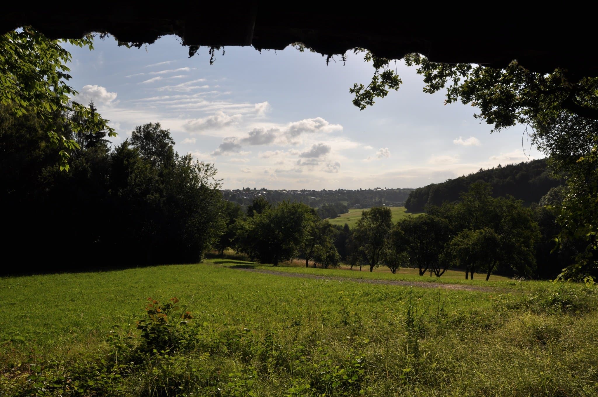 A landscape photo showing a meadow and trees behind it, with a forest visible in the distance. The image is framed by branches. The sky is blue with a few small clouds.