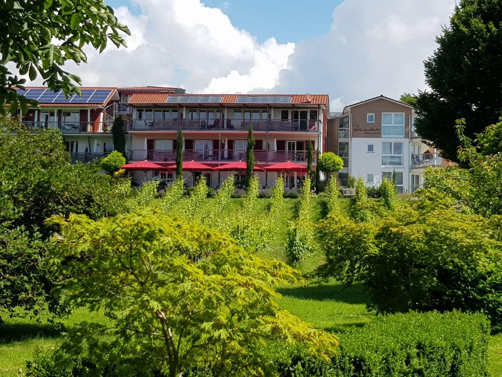 Hausansicht mit Terrasse und Weinreben im Vordergrund
