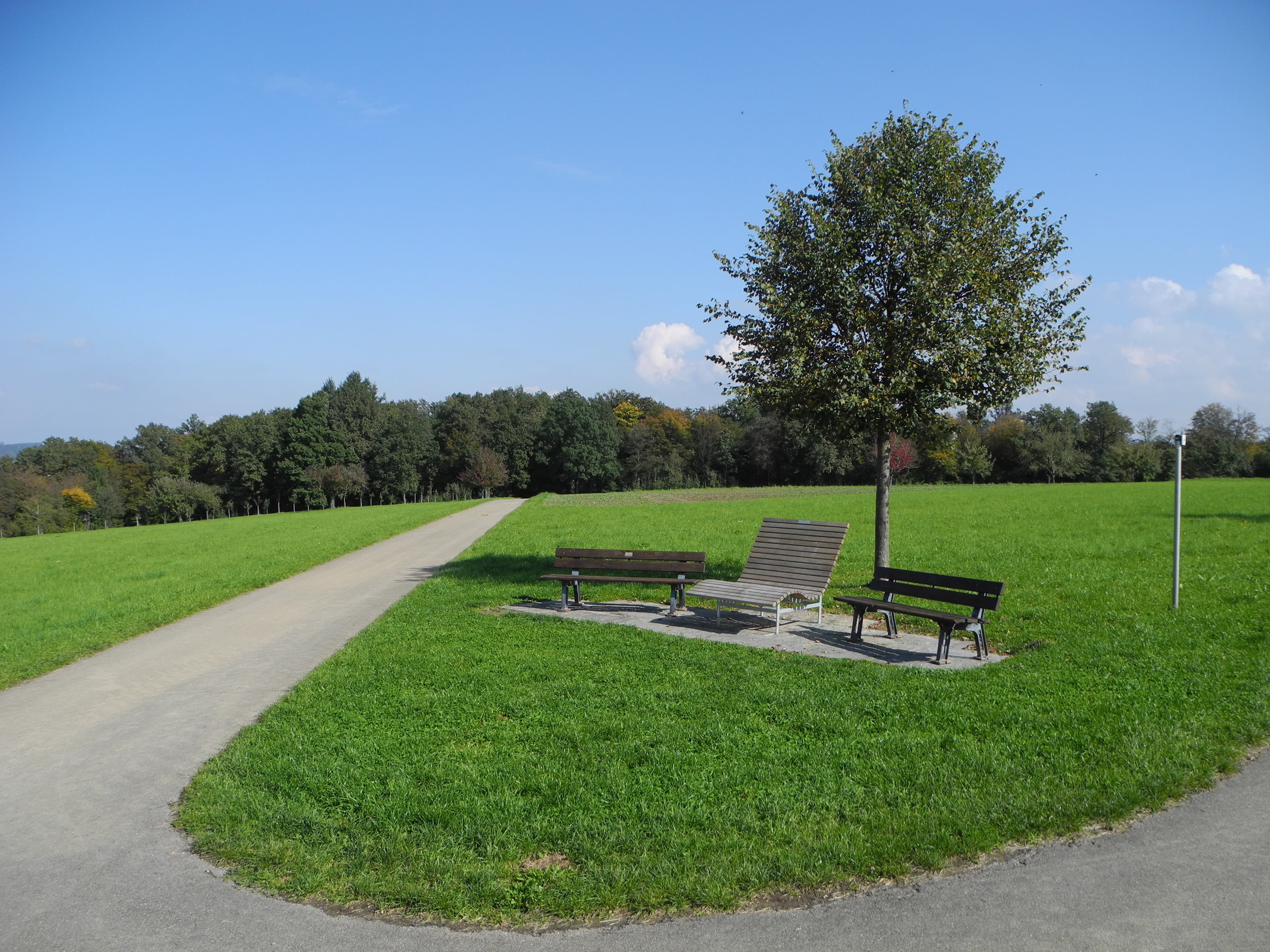 Eine Bank an einer Weggabelung.