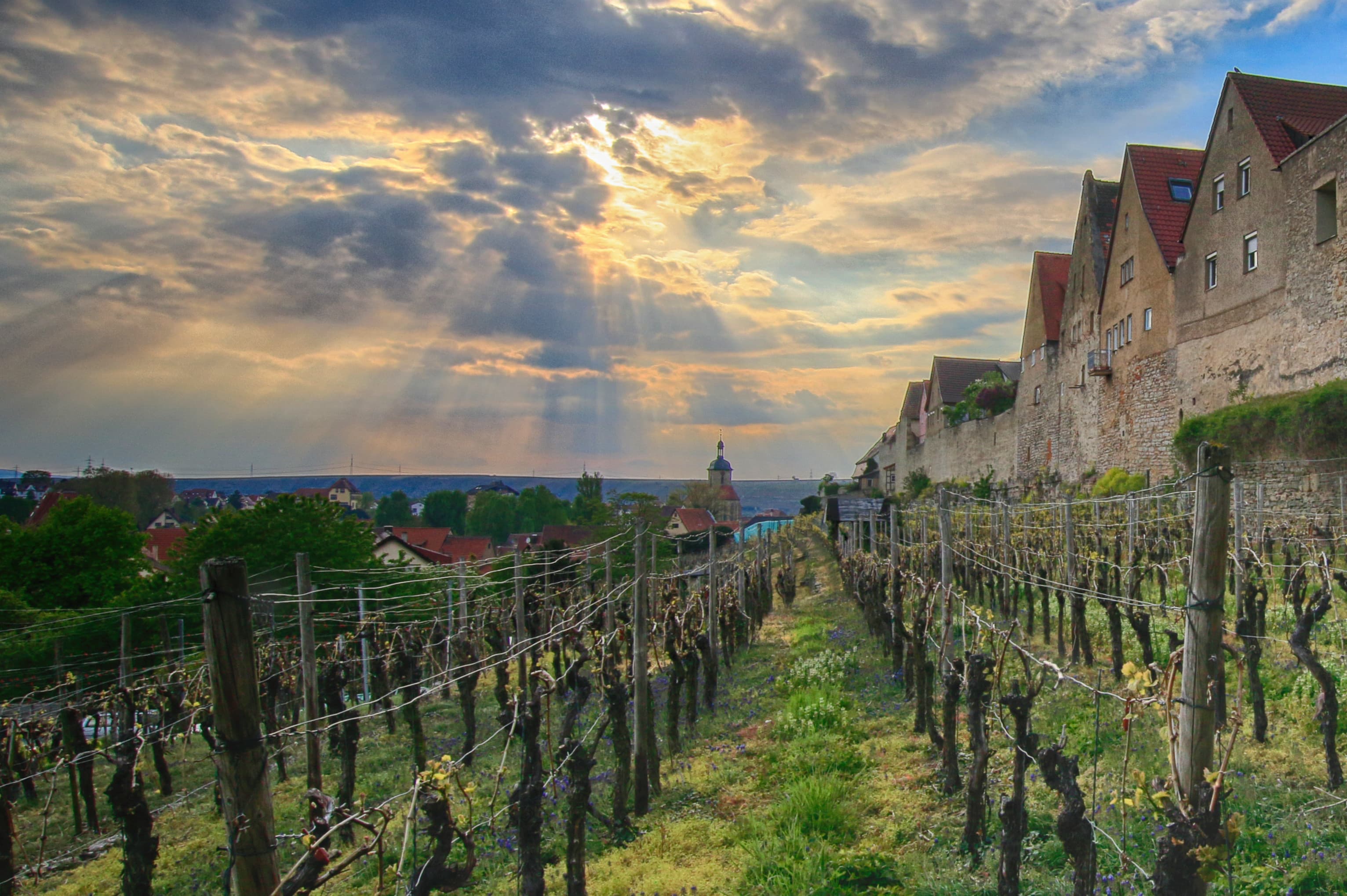 Lauffen am Neckar | HeilbronnerLand