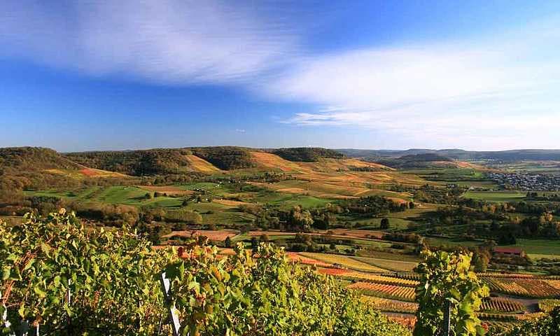 Blick vom Scheuerberg über das Weinsberger Tal | Weinsüden Weinort Erlenbach | HeilbronnerLand