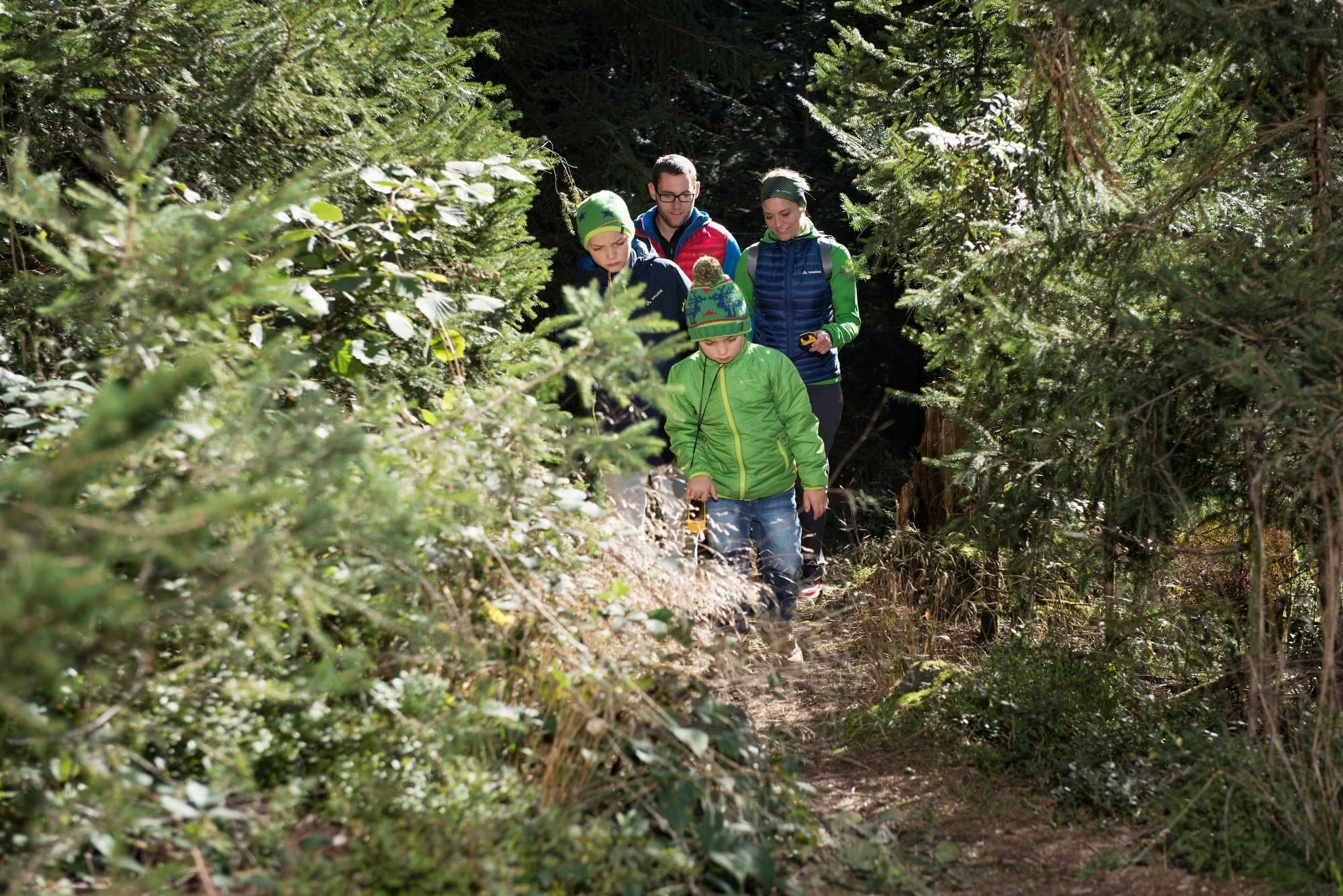 Vier Kinder wandern auf Waldweg