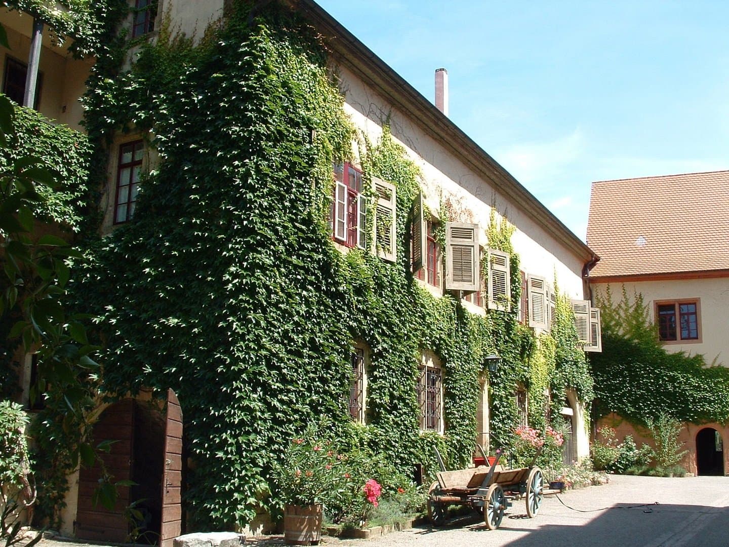 Das Schloss ist von wildem Wein umrankt