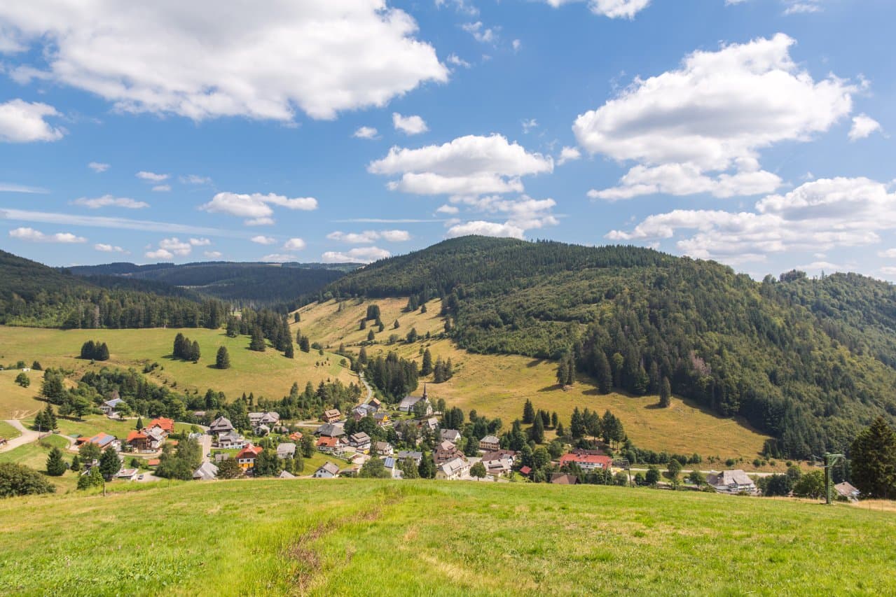 Aussicht über Muggenbrunn