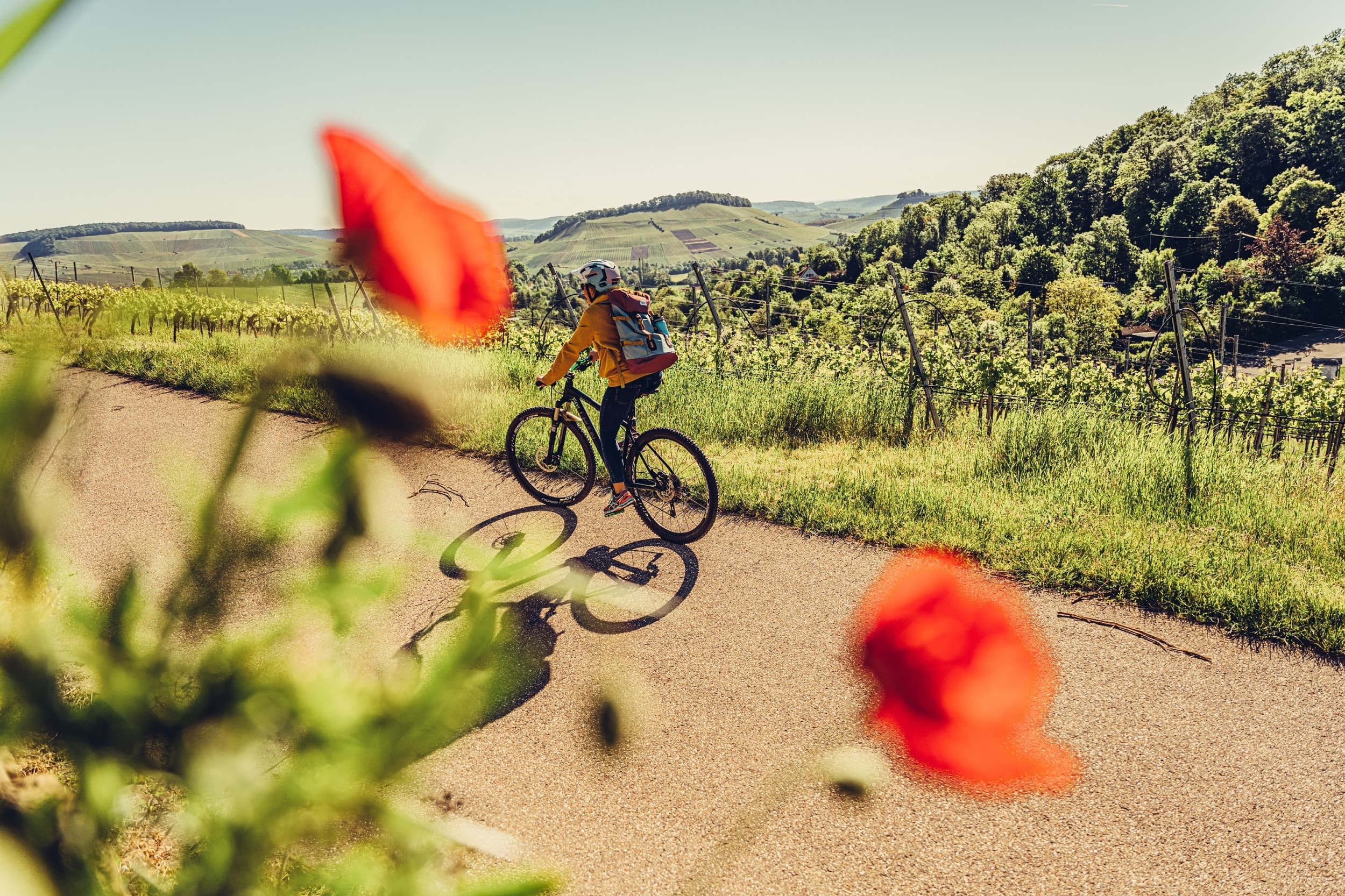 Unterwegs am Württembergischen Weinradweg in Heilbronn