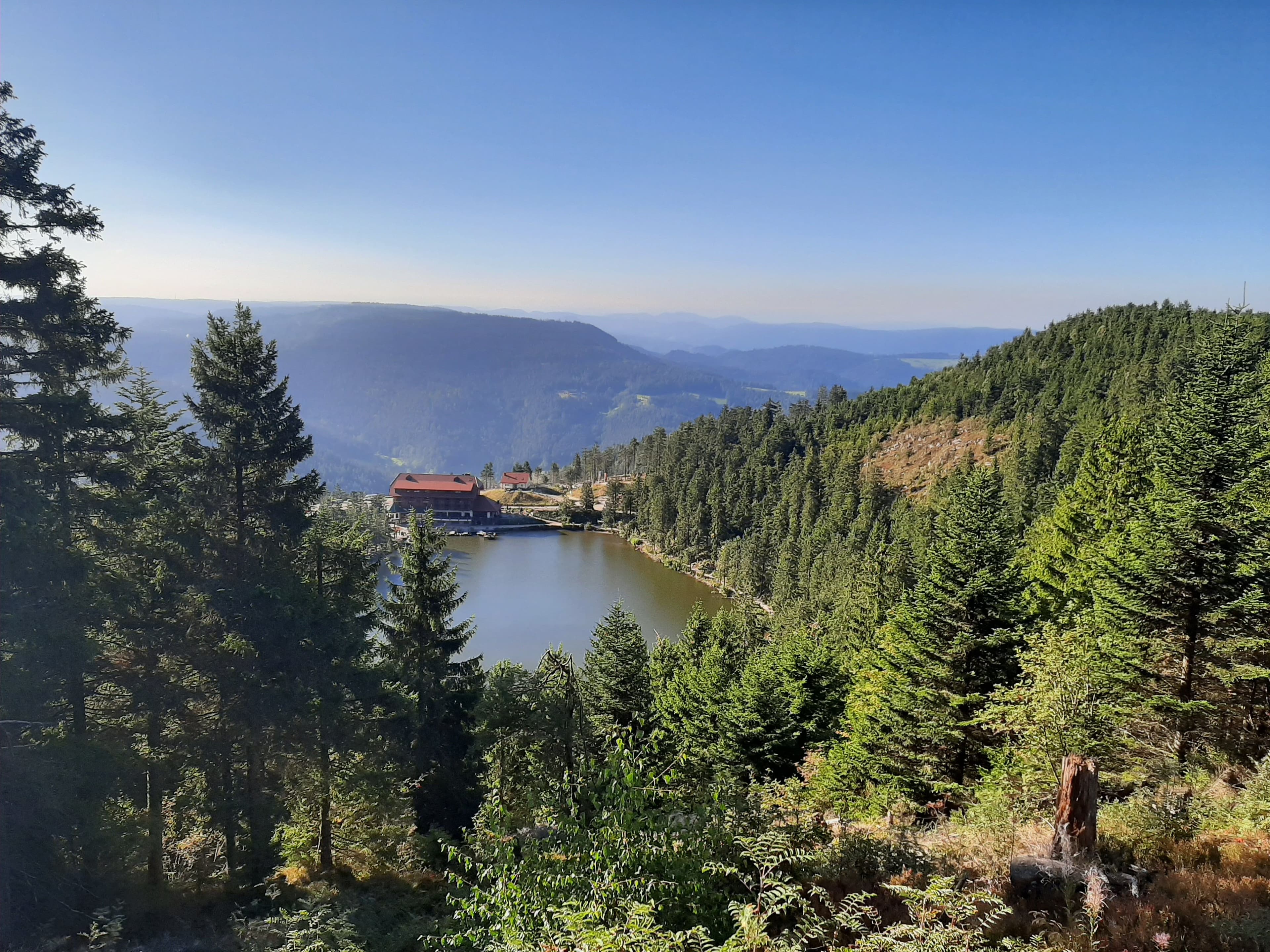Ausblick auf den von Tannen und Fichten eingerahmten Mummelsee mit Hotel und Aussicht auf die Rheinebene und umliegende Schwarzwaldberge