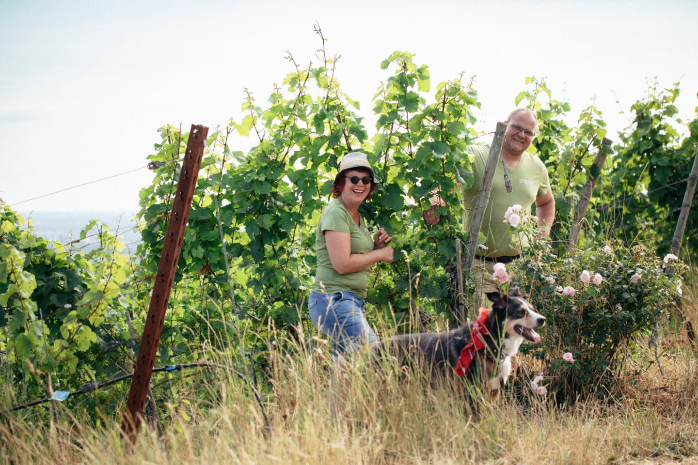 Mann und Frau mit Hund zwischen Weinreben