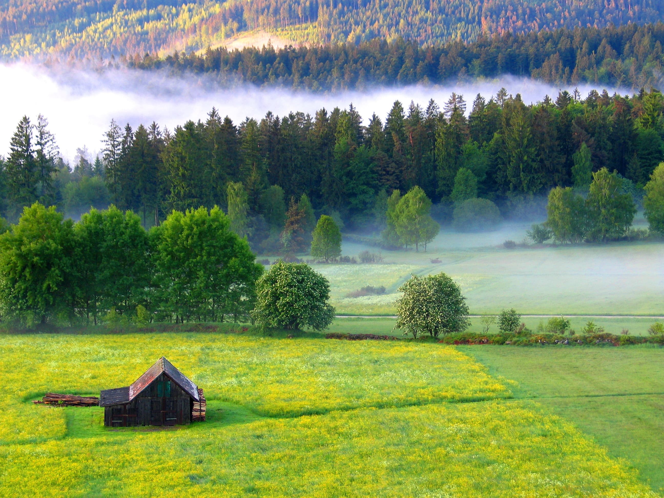 Auszeit genießen im Nördlichen Schwarzwald