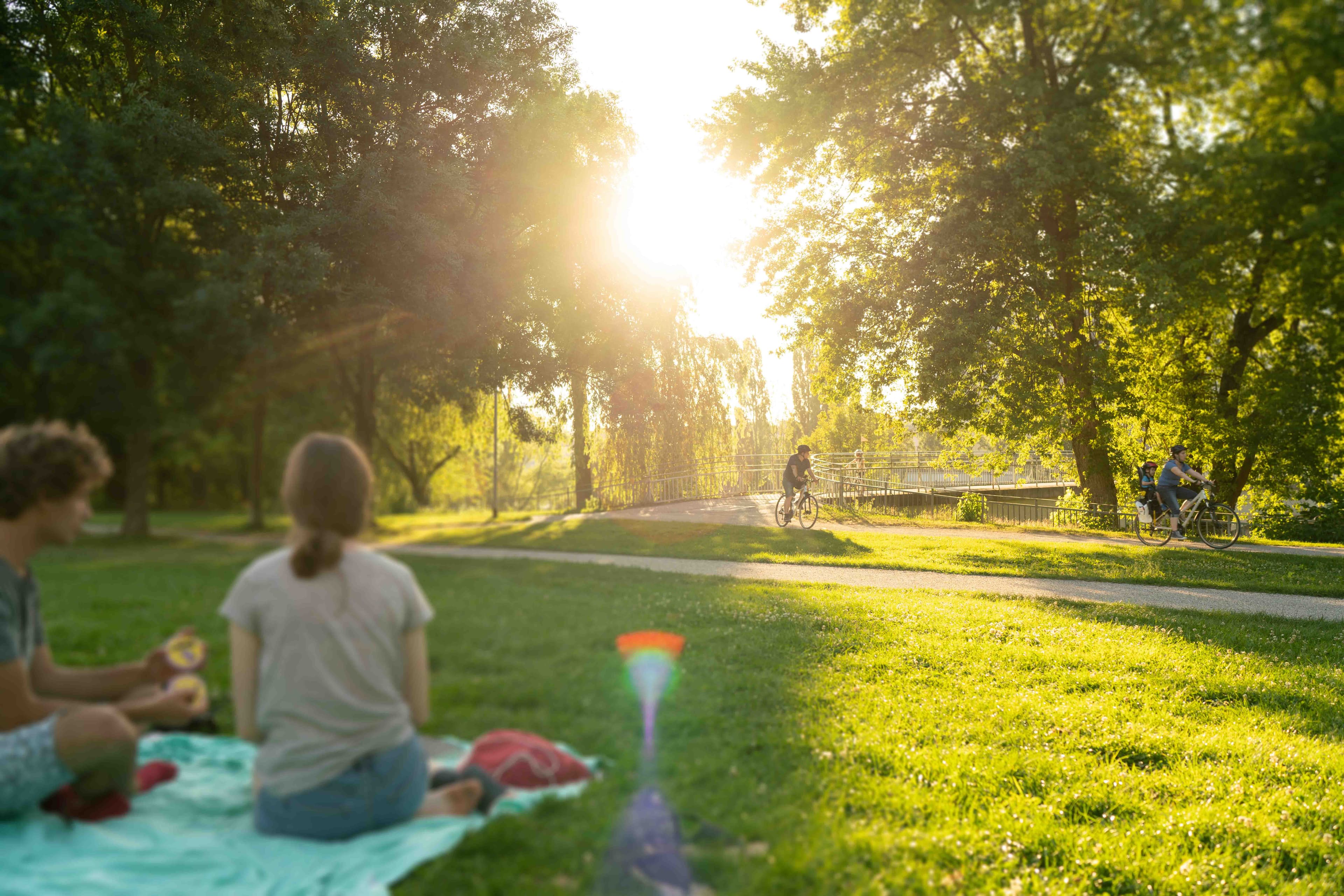 Sonnenuntergang im Enzauenpark