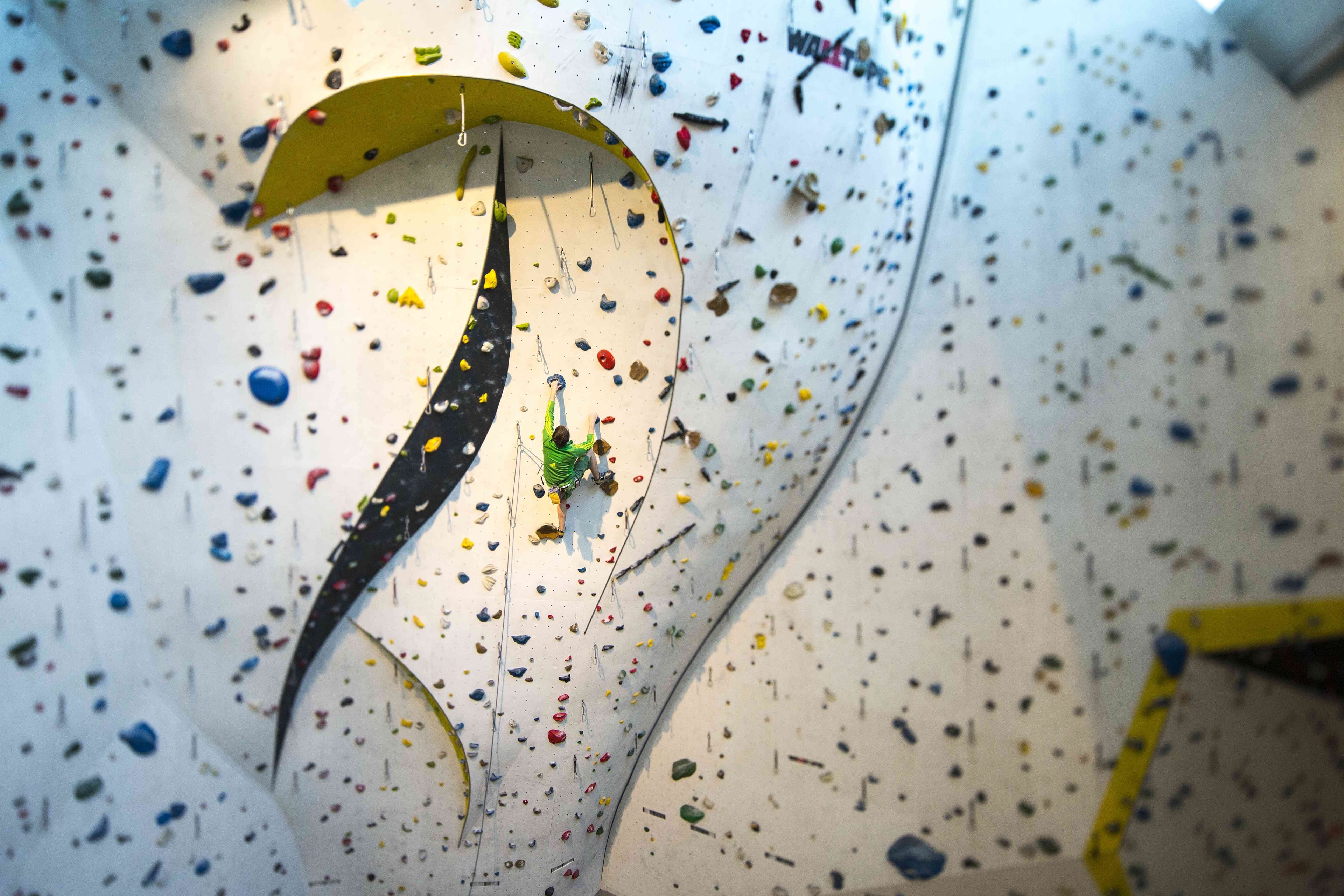 Kletterer an einer Indoor-Kletterwand mit bunten Griffen.
