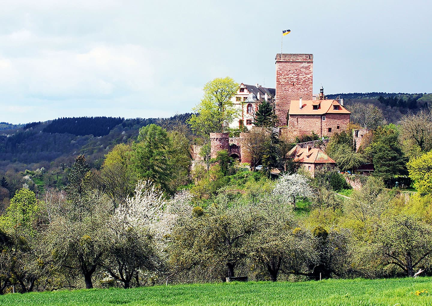 Burg Gamburg