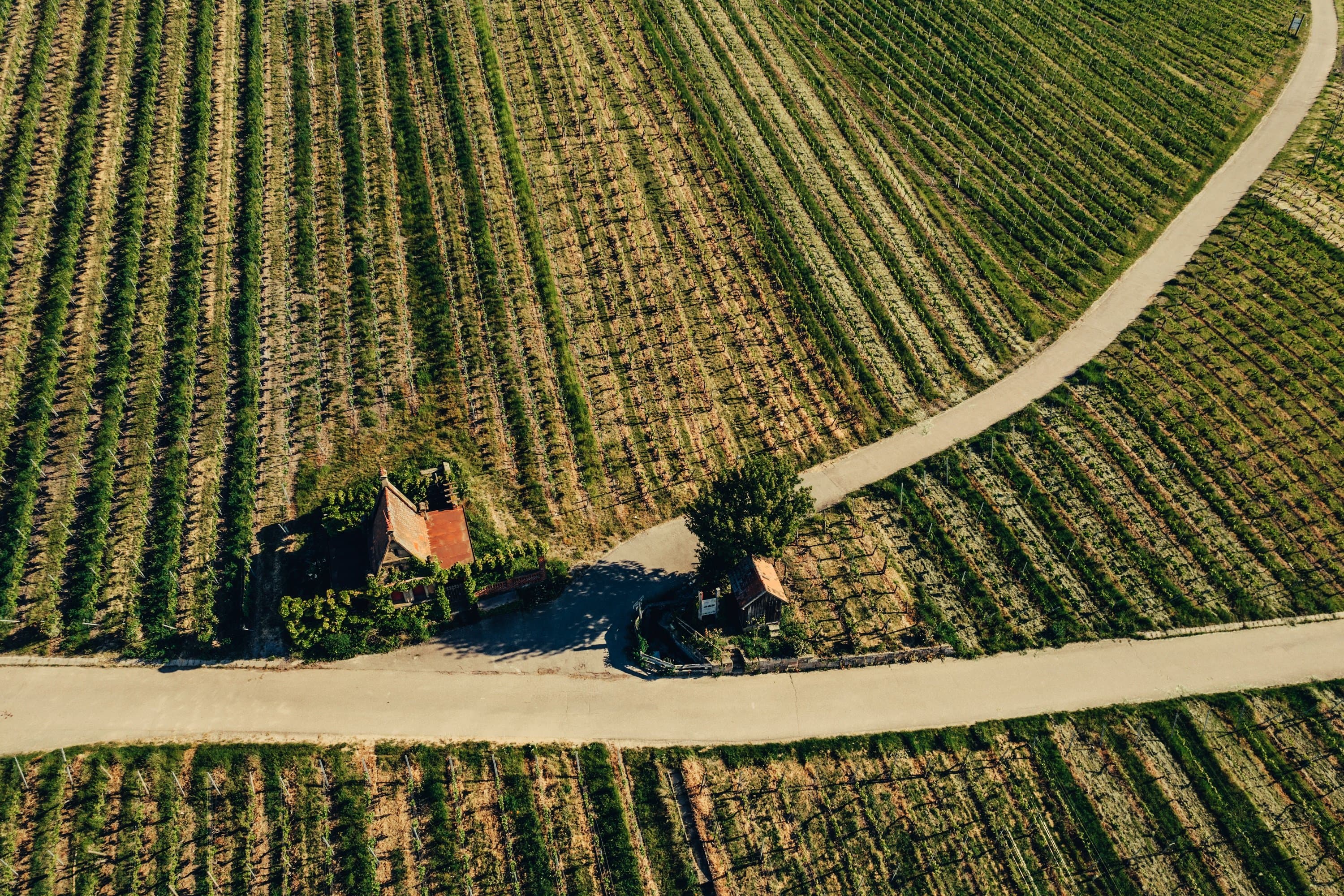 Heilbronner Wartberg | wine region Heilbronn & HeilbronnerLand