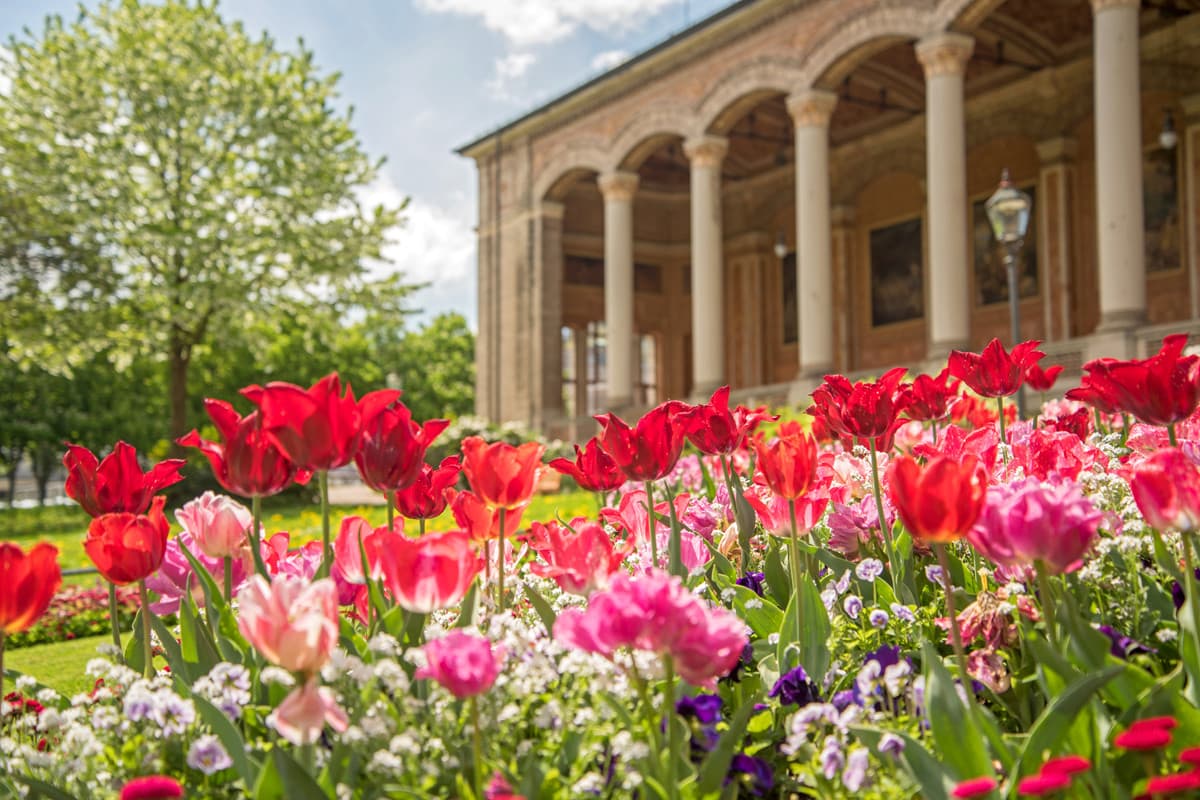 Frühling vor der Trinkhalle