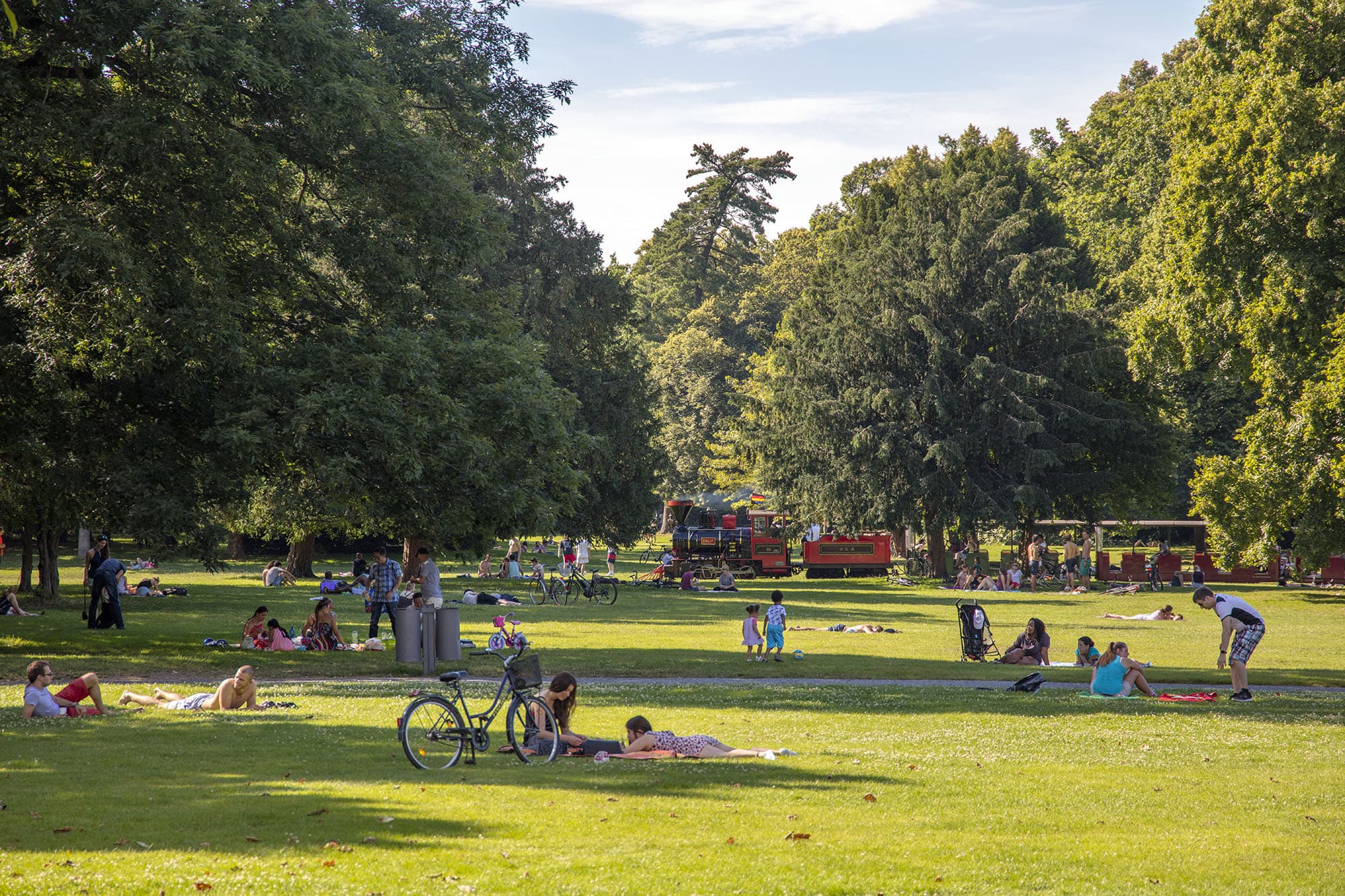 Menschen liegen im Sommer auf einer grünen Wiese umgeben von Laubbäumen