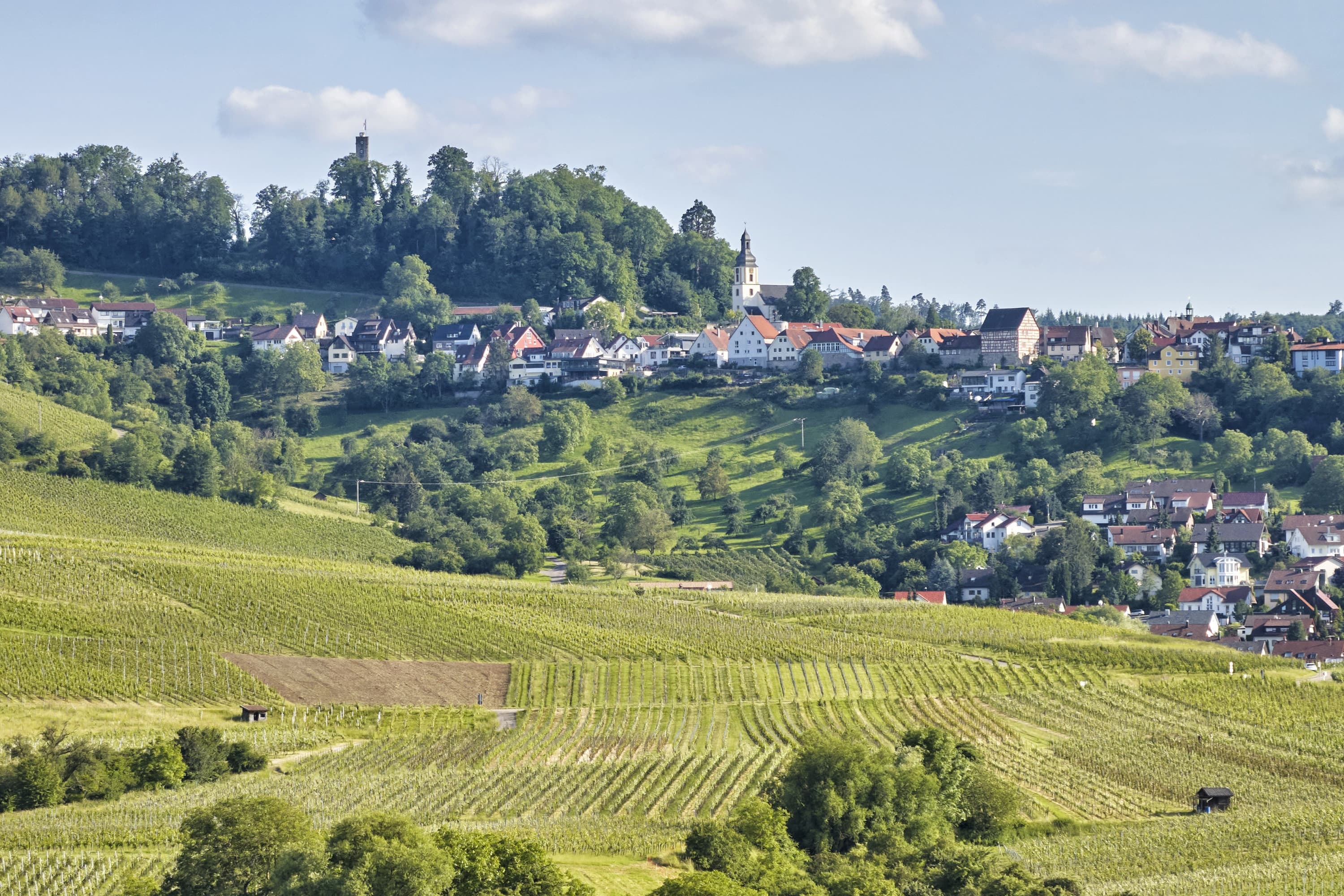 Bergstädtchen Löwenstein | Naturpark Schwäbisch-Fränkischer Wald | HeilbronnerLand