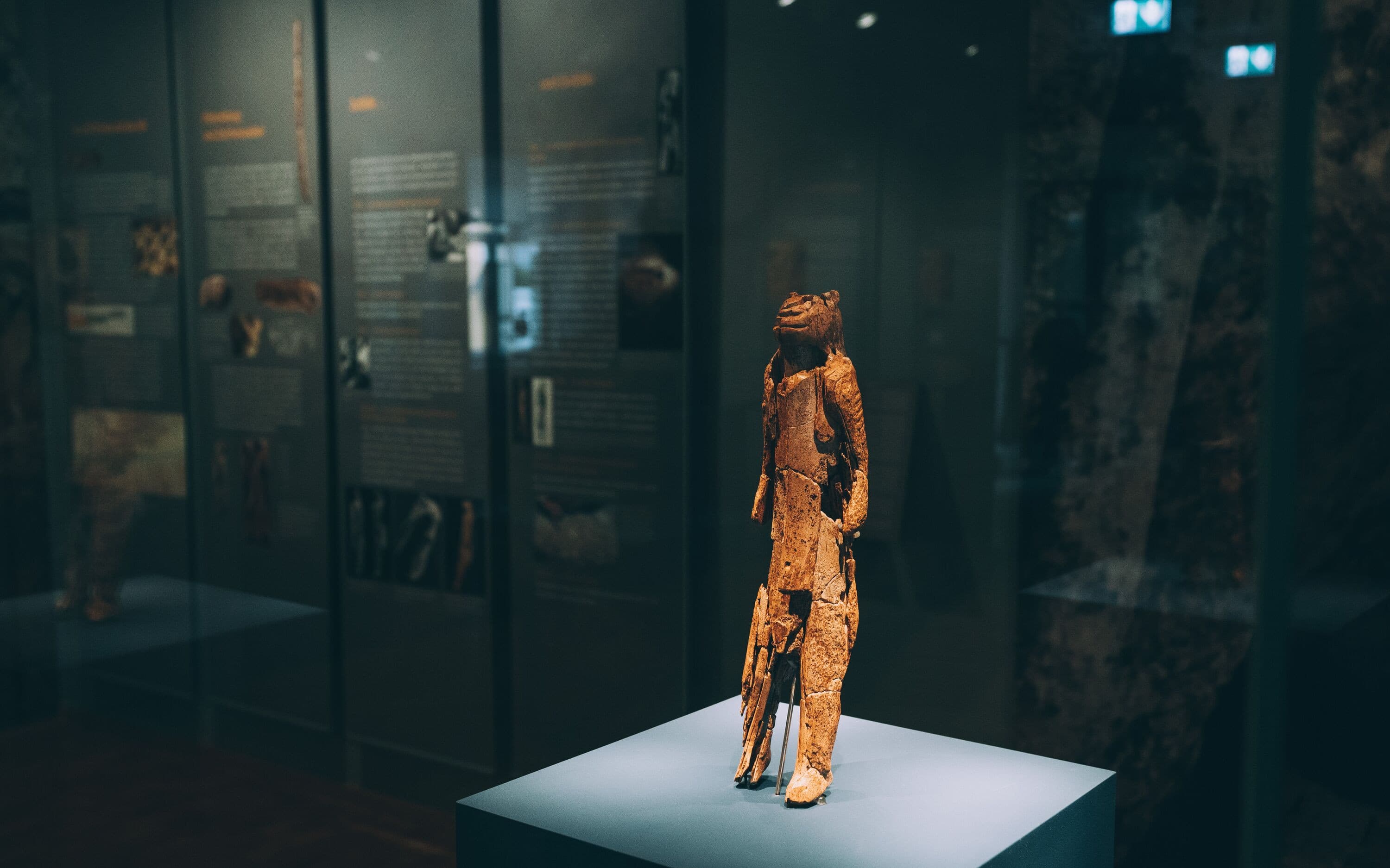 Der Löwenmensch im Museum Ulm