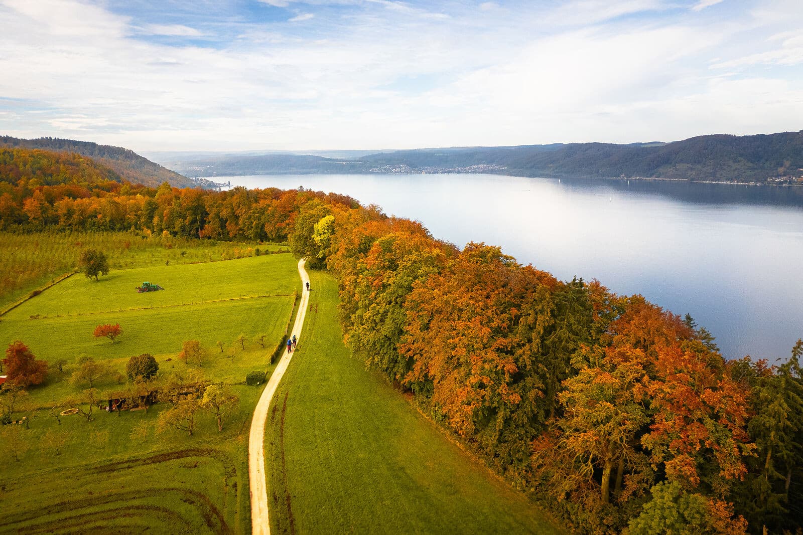 Blick auf den SeeGang und den Überlinger See bei Langenrain im Herbst