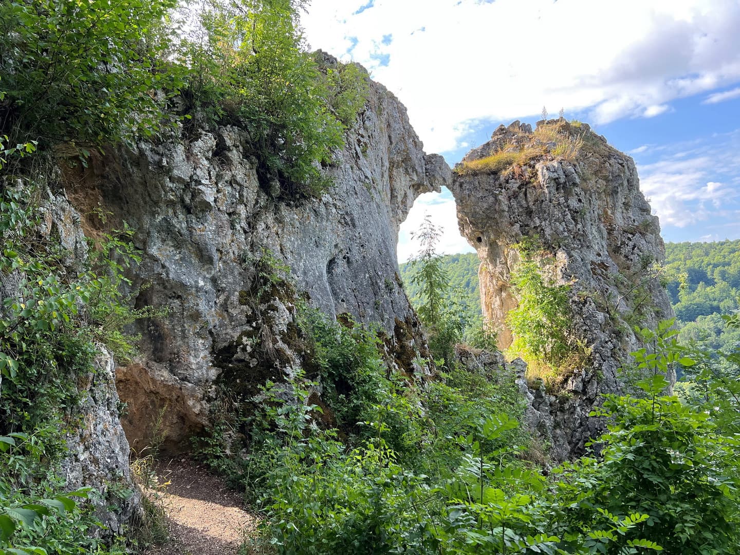 2 Felsen die aussehen wie 2 sich küssende Säue. Aus diesem Grund werden Sie auch Küssende  Sau genannt. Umgeben von Sträuchern und Wald im Hintergrund