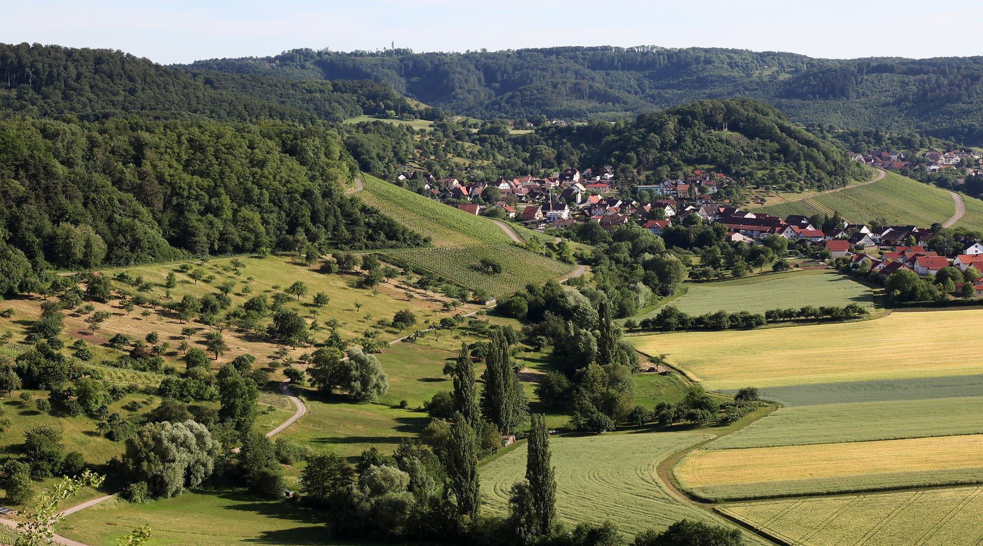Weinlandschaft Obersulm mit Blick in die Löwensteiner Berge | HeilbronnerLand