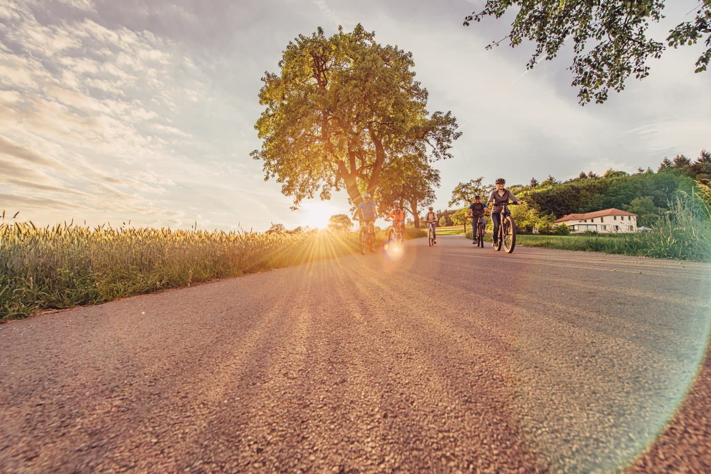 Radfahrer radeln auf einem asphaltierten Radweg bei Sonnenuntergang am Katzenbuckel, der höchsten Erhebung im Odenwald. Im Hintergrund ist ein Gebäude zu sehen.