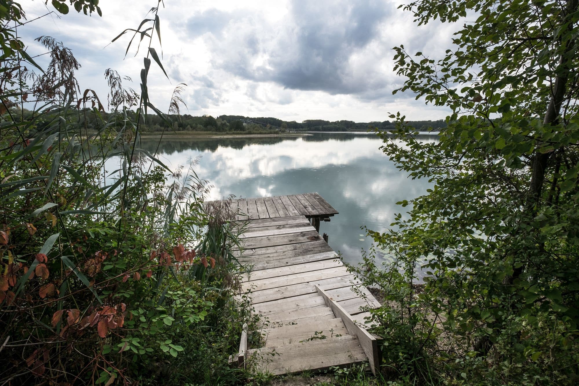 See mit Steg, im vordergrund Büsche