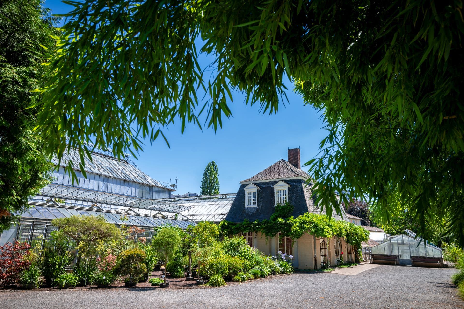 Gewächshäuser im Botanischen Garten Heidelberg