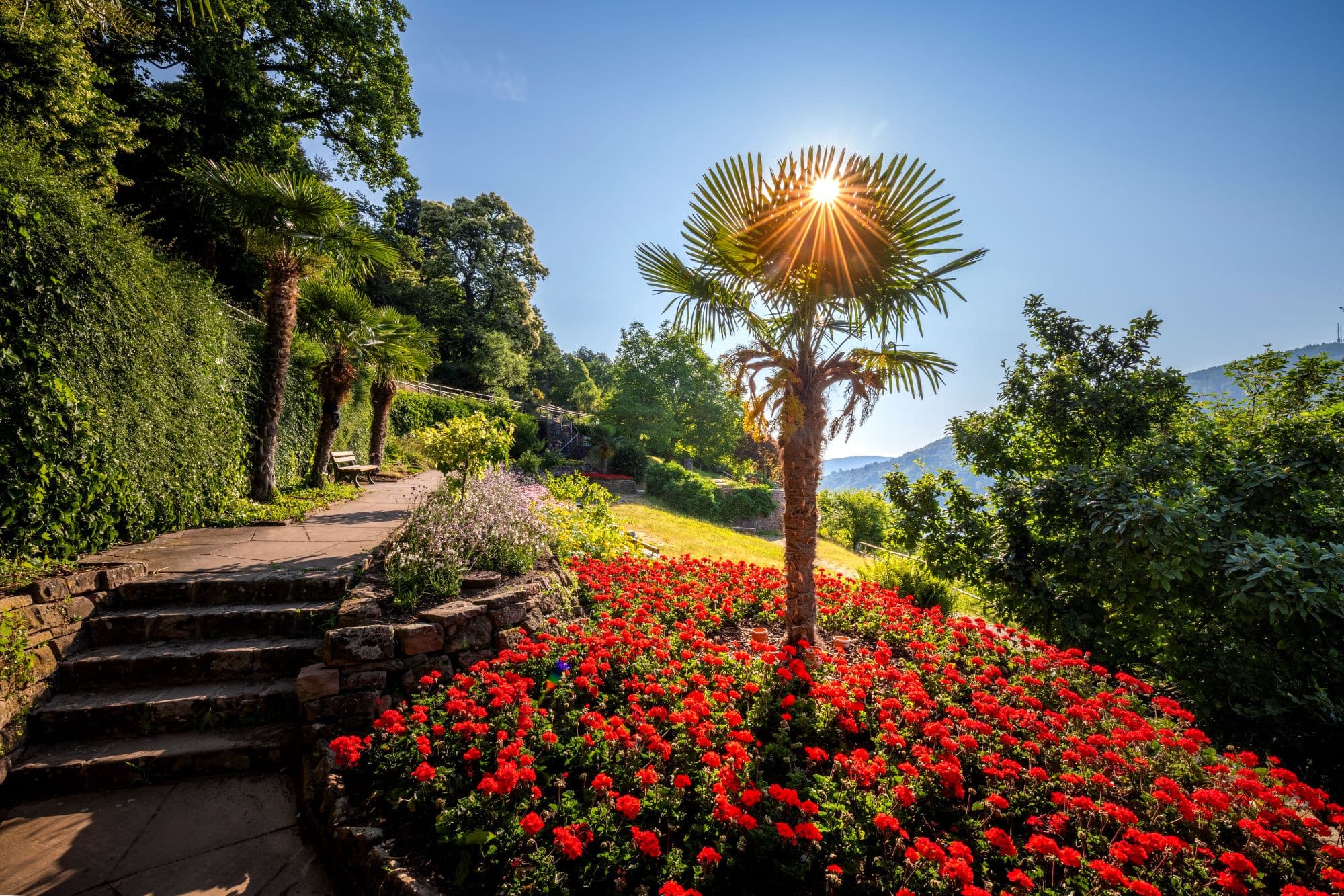 Philosophenweg Heidelberg
