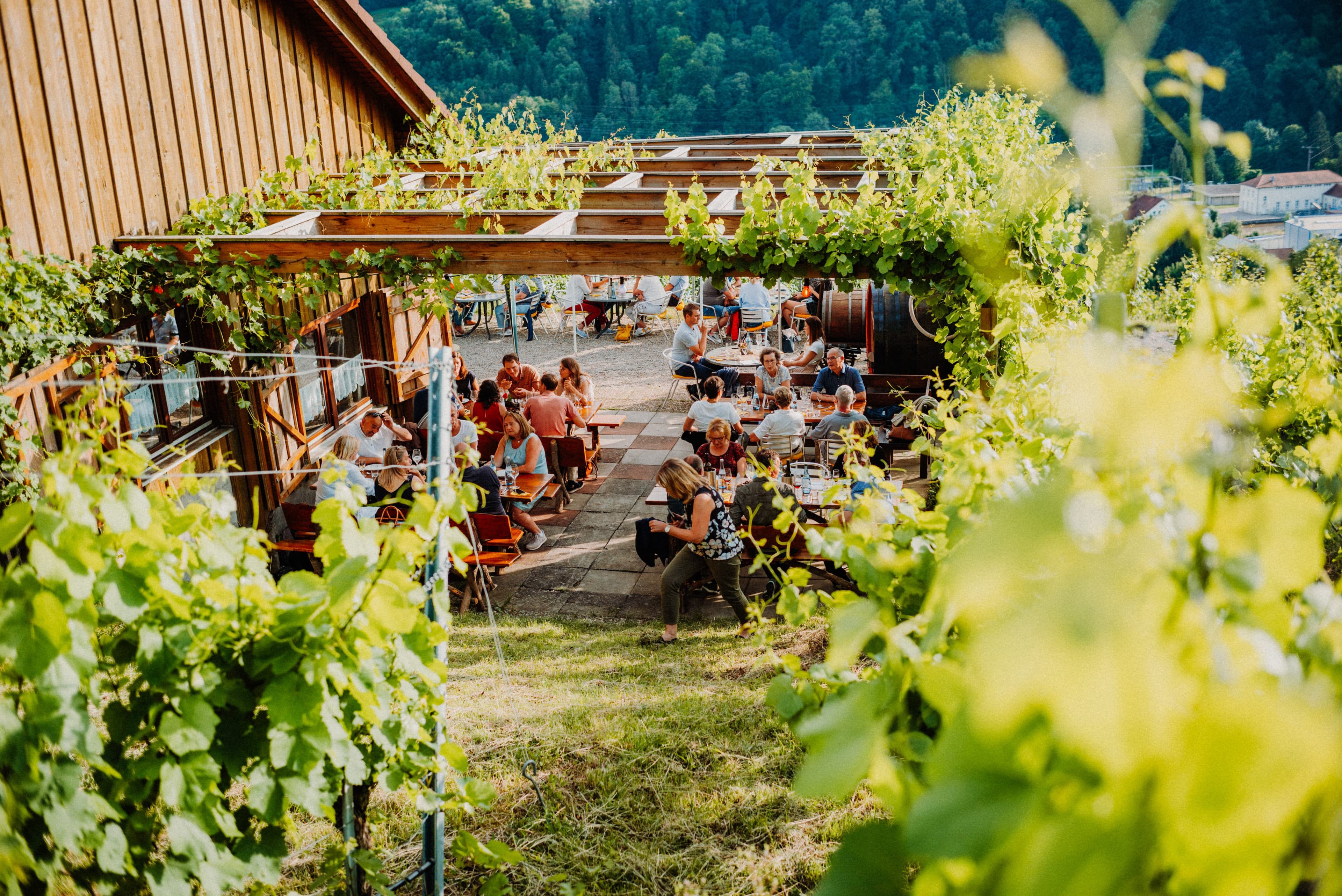 Umgeben von Reben genießen viele Leute beim Weinausschank an der Weinberghütte vom Weingut Gaufer köstliche Weine und Gerichte, einem Event bekannt als die "Weinaussicht"
