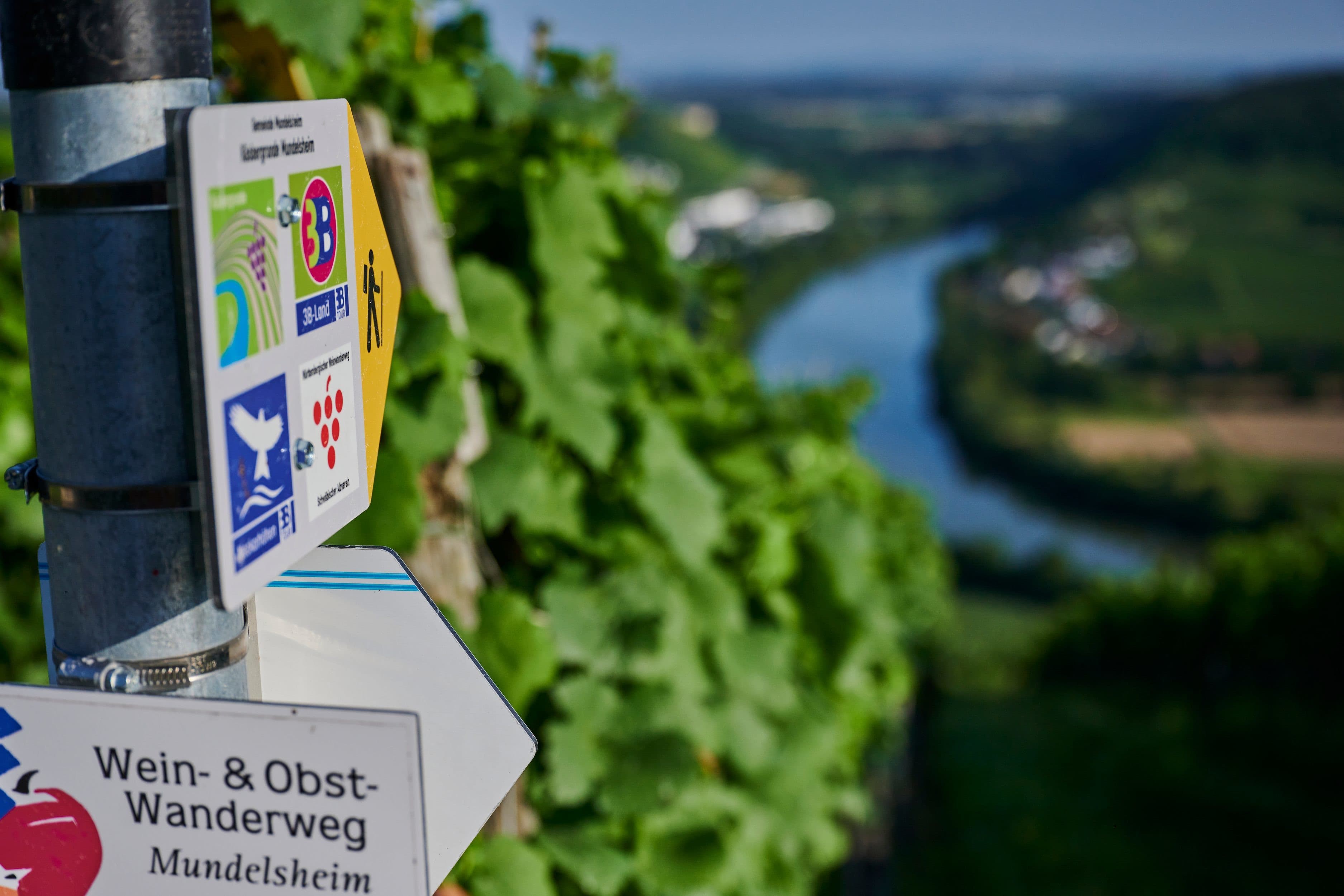 Ein Wanderwegweiser mit Symbolen verschiedener Routen steht vor einer Weinbergkulisse mit Blick ins Neckartal.