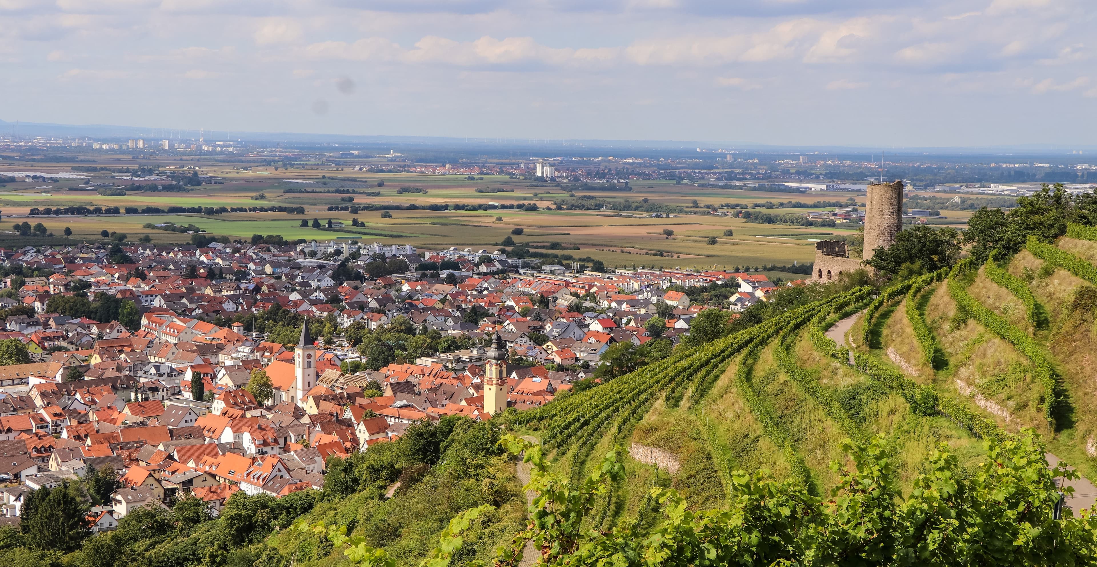 Aussicht auf die Strahlenburg und die Stadt Schriesheim