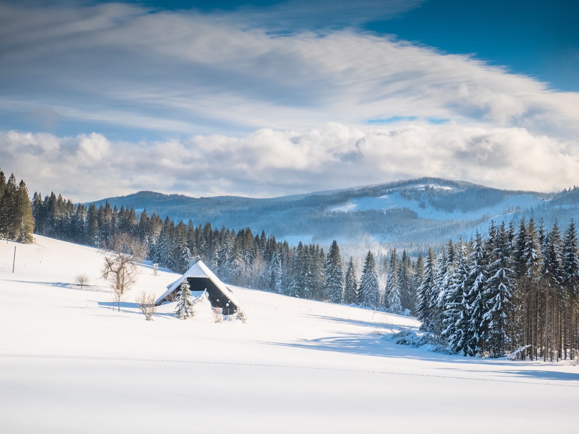 Winterlandschaft am Rinken