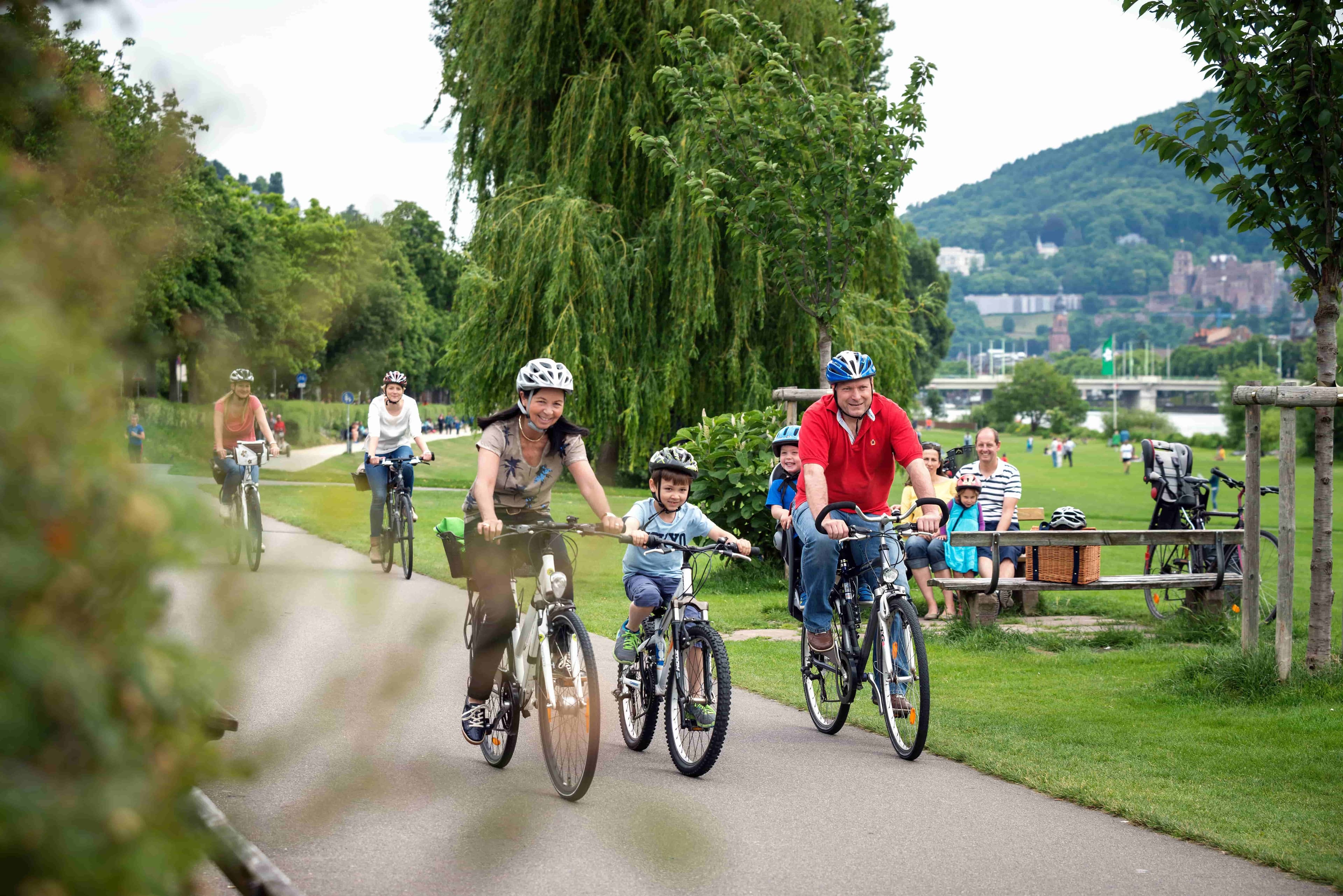 Odenwald-Madonna cycle path