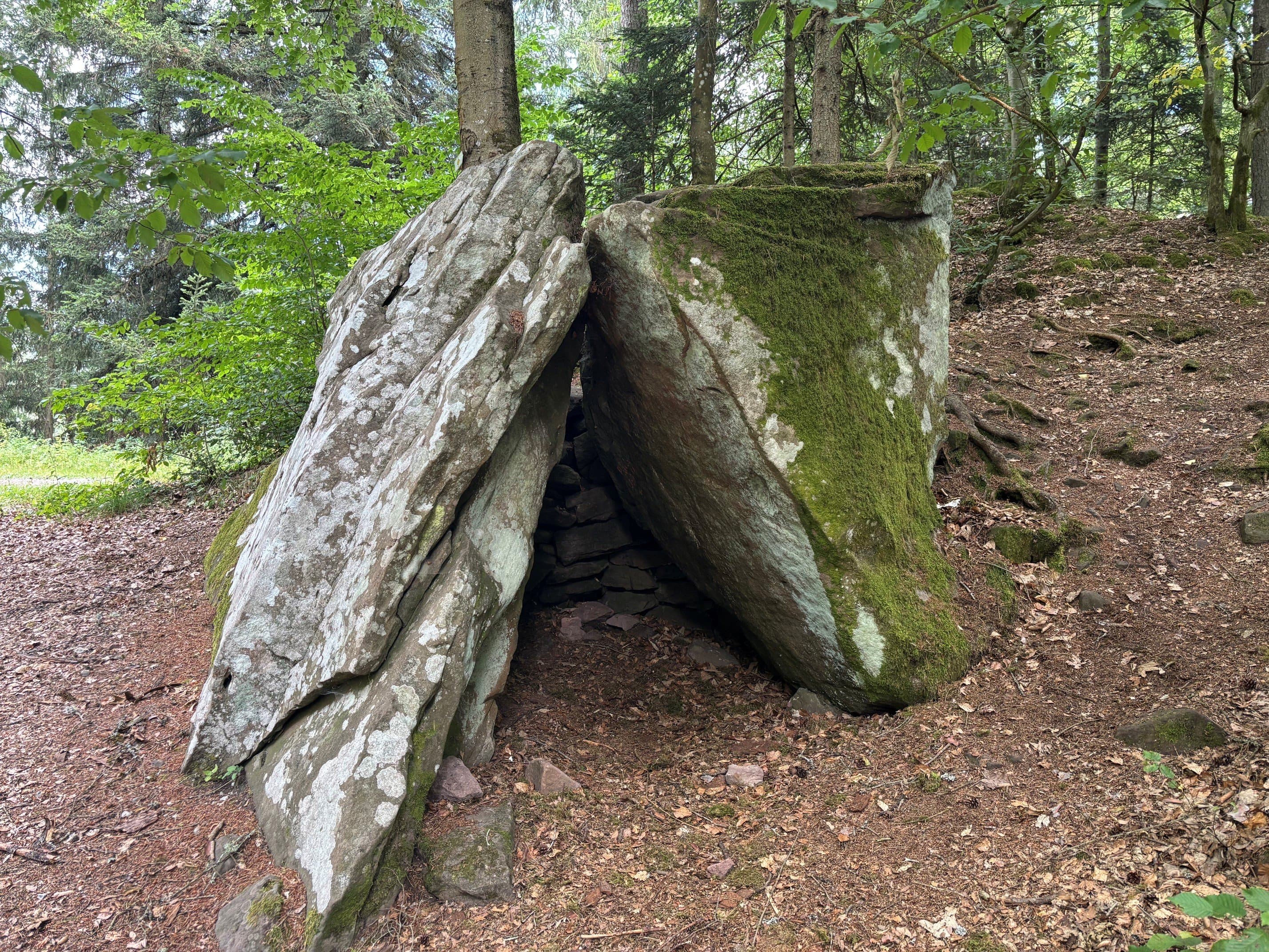 Felsen im Wald