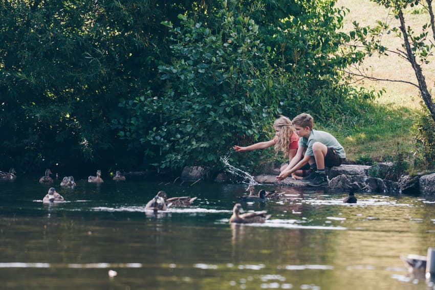 Das Bild zeigt einen kleinen Teich mit Enten. Daneben stehen zwei Kinder und füttern die Enten.