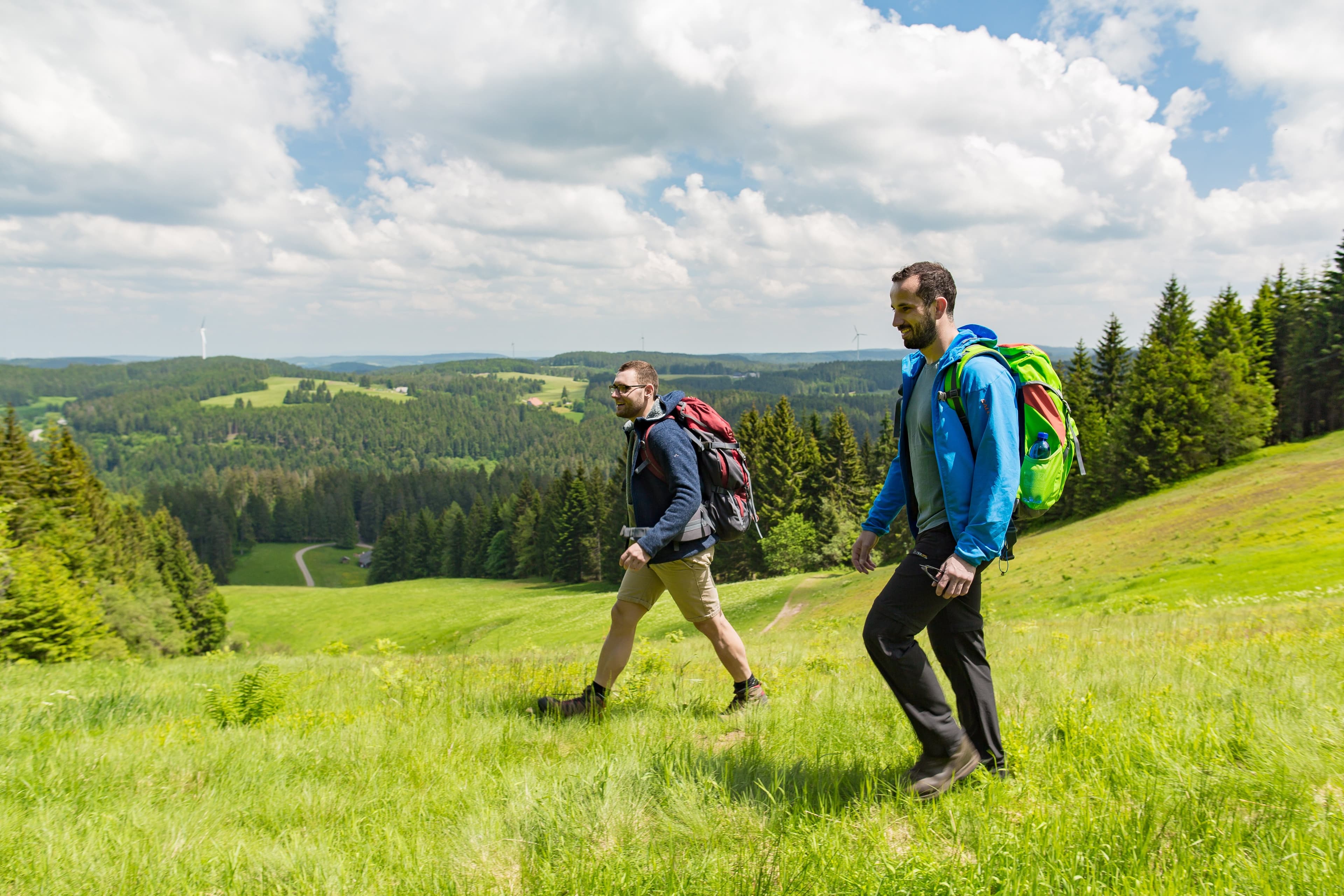 Zwei Männer wandern über eine Wiese, Wälder im Hintergrund