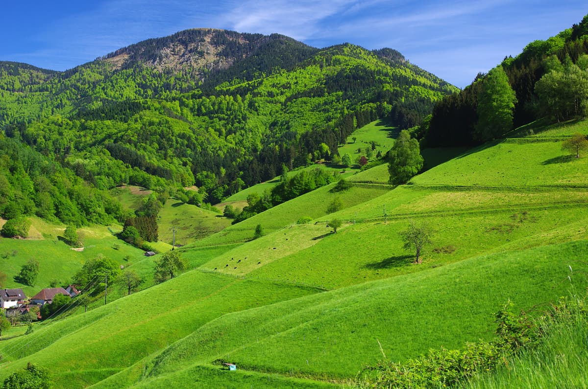 Blick vom Münstertal auf den Belchen im Frühjahr